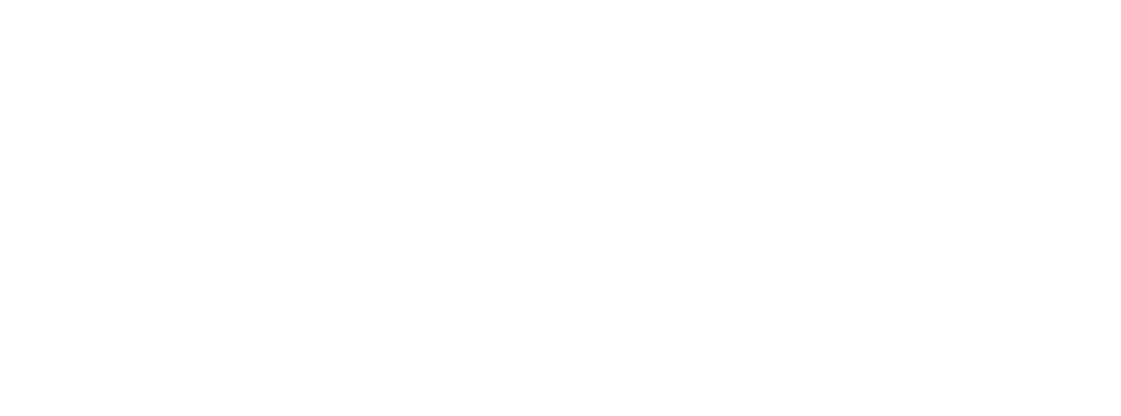 MDM Fundraising