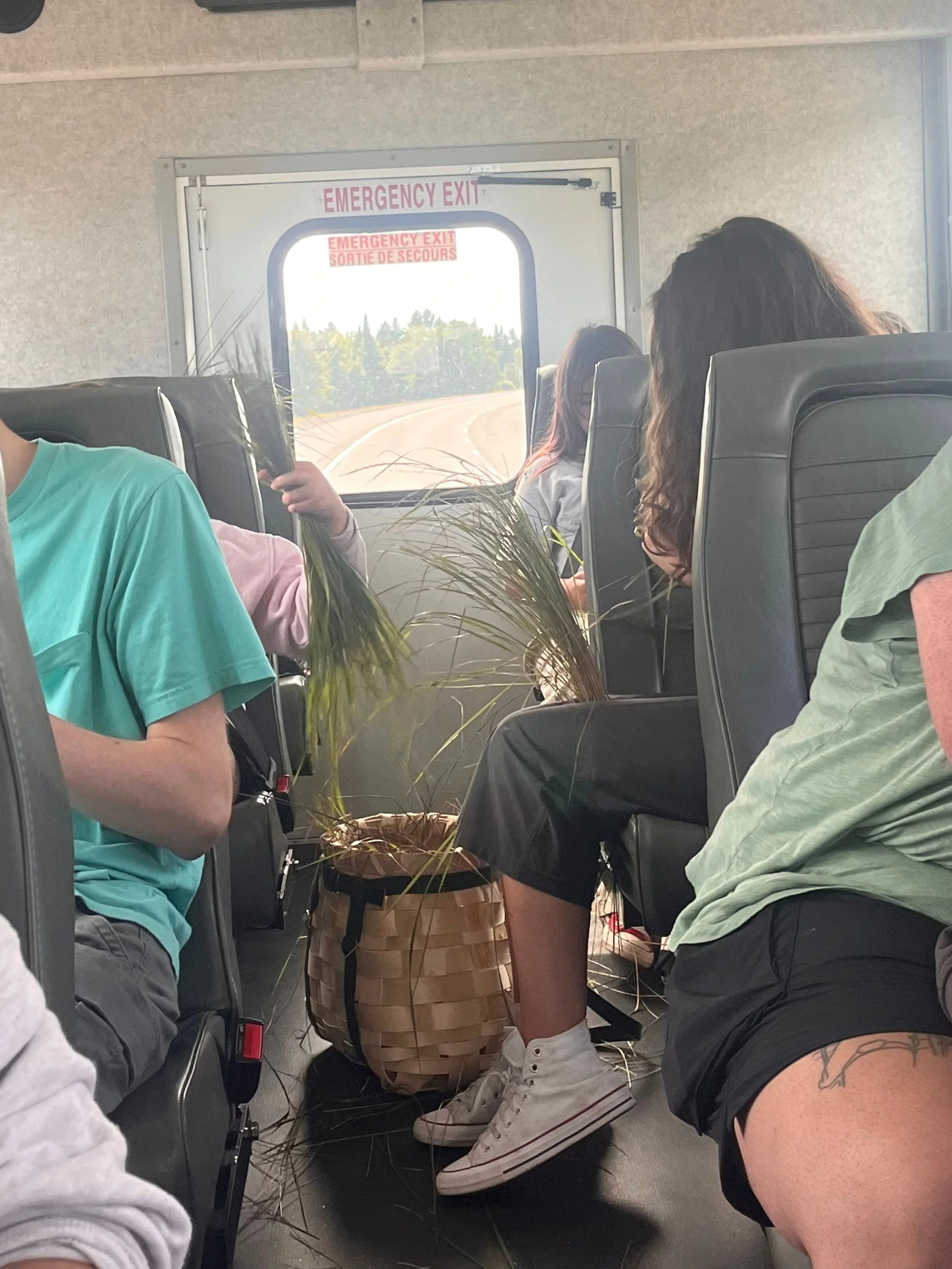 Youth Sweetgrass Picking.jpg