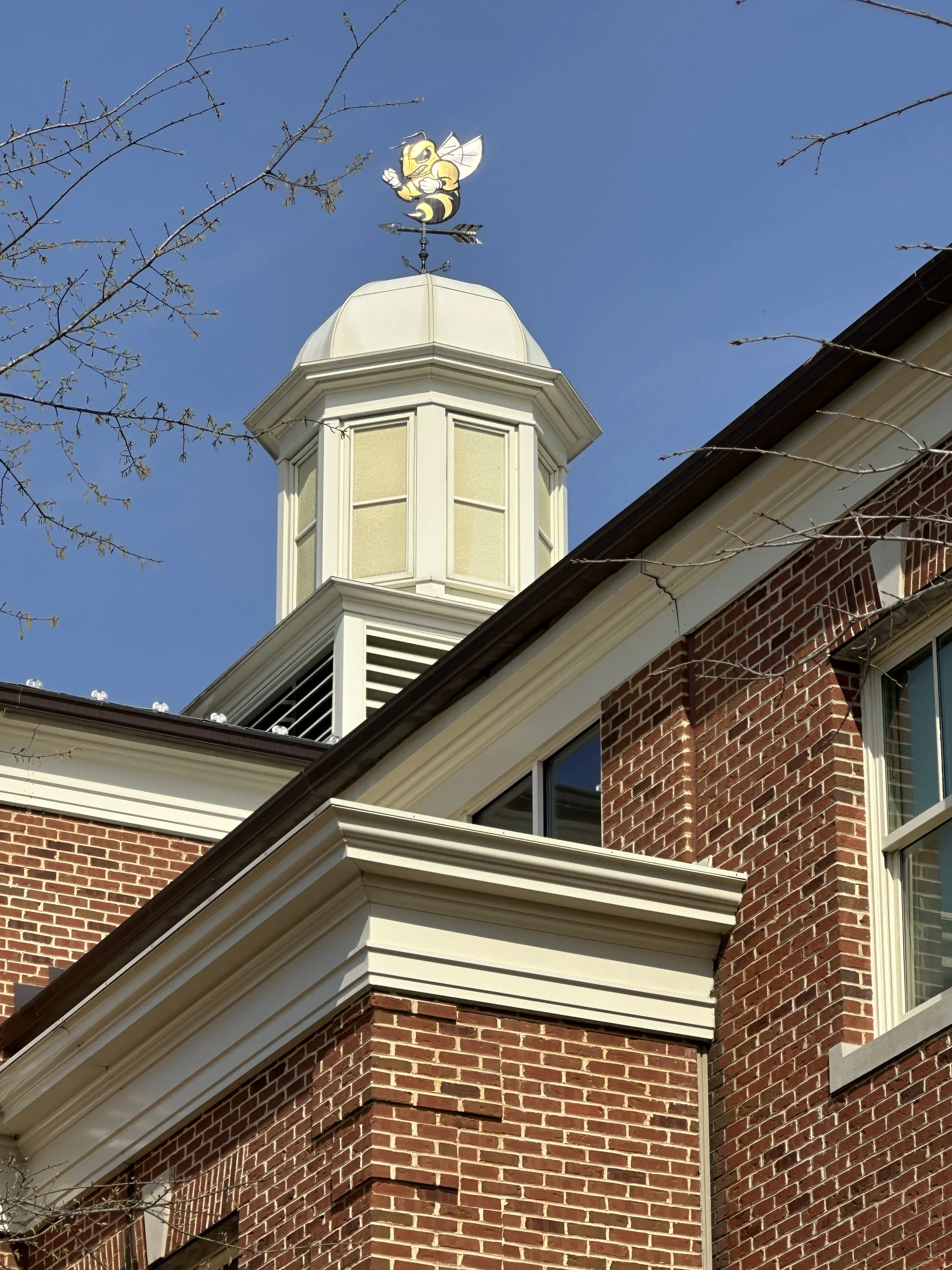 RMC18-Yellow Jacket Wind Pane.jpeg