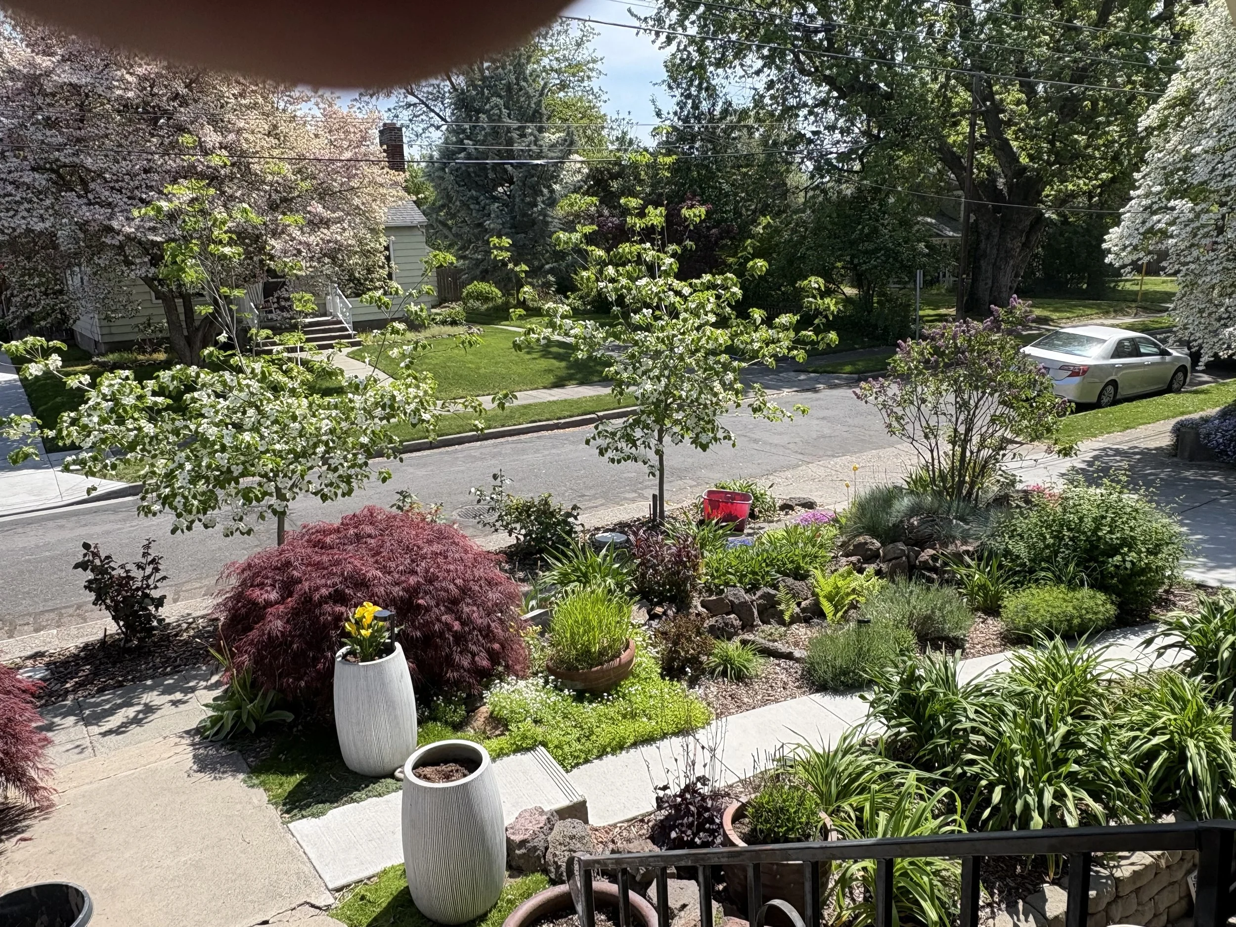 For the Love of May