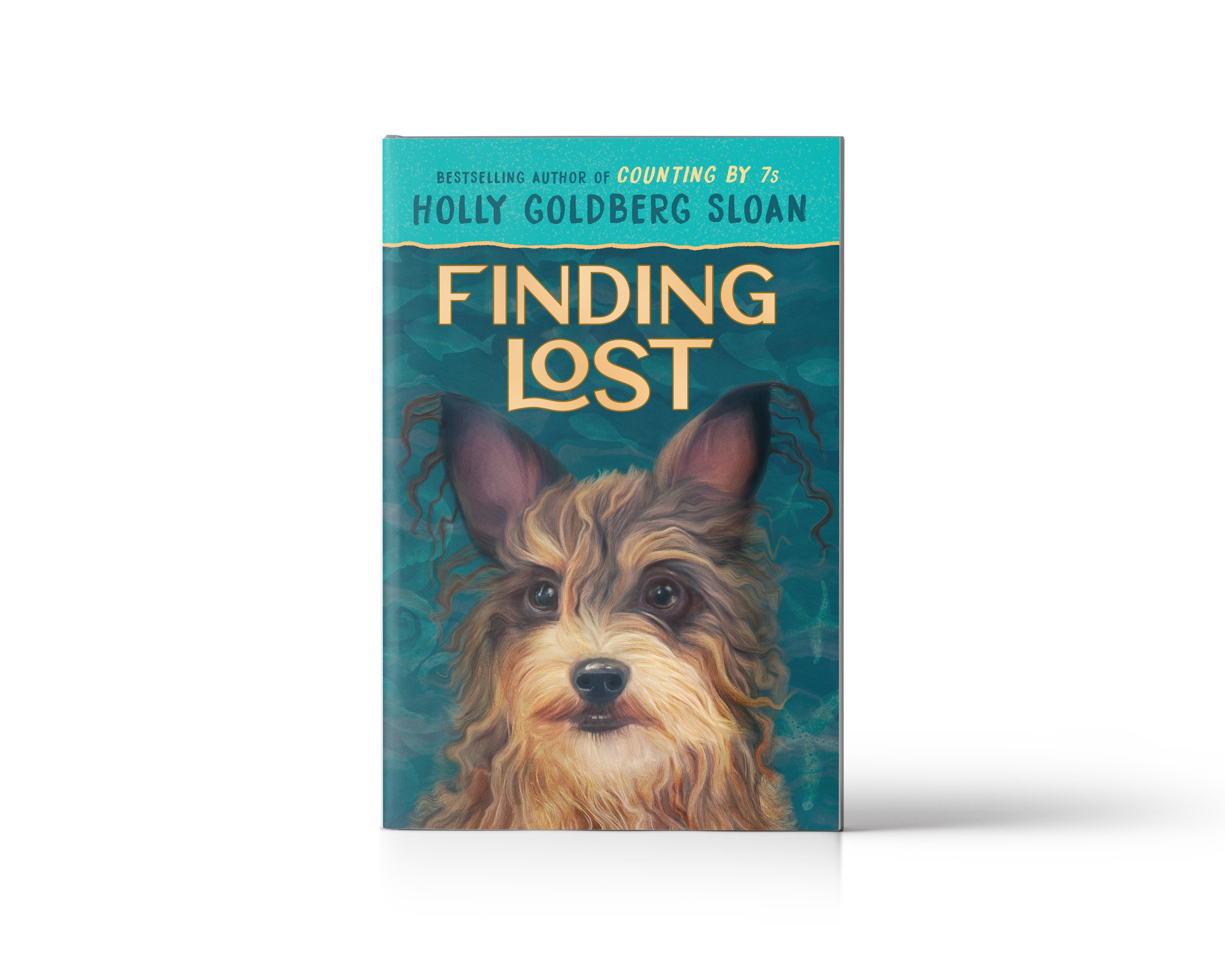 FindingLostPB_website.jpg