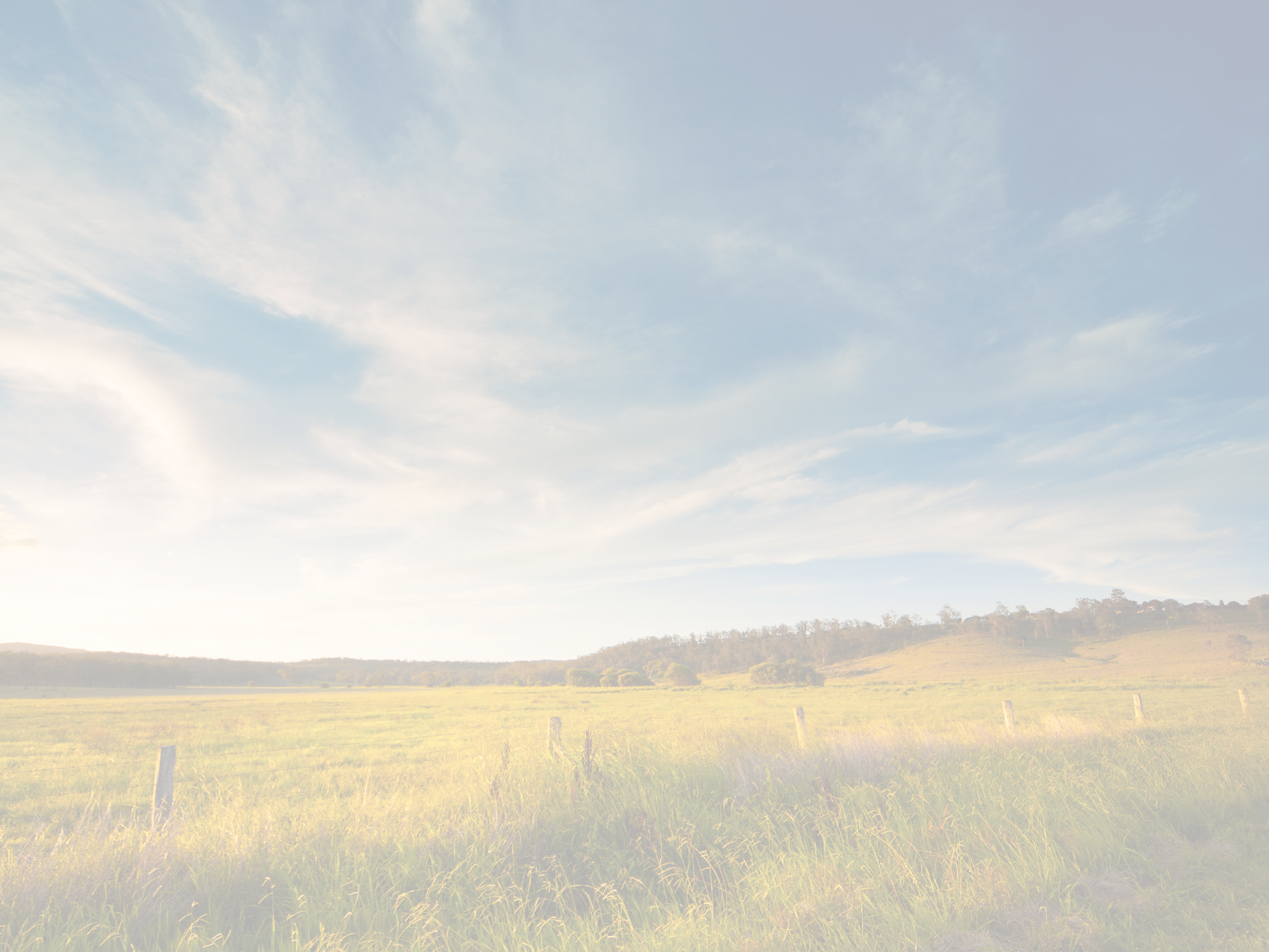 Federal Judge Blocks Texas Law Targeting Critics of Fossil Fuels