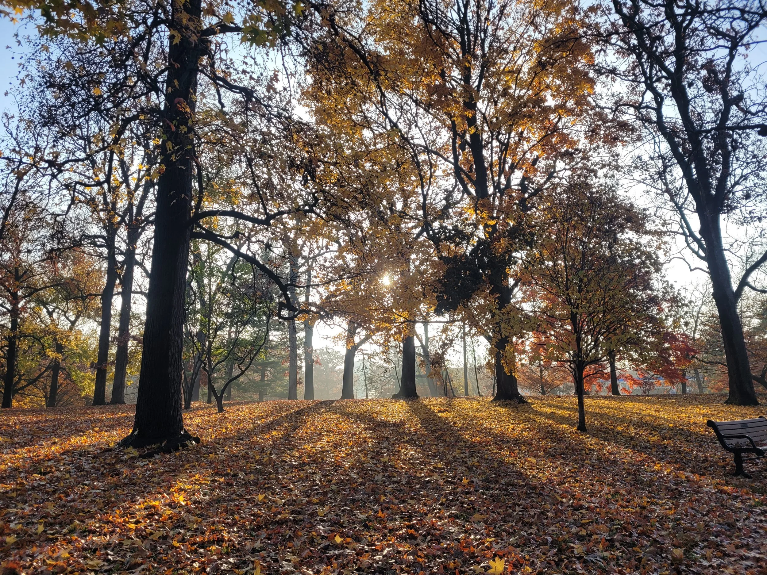AlexisAtk_FallSunrays_8×10.jpg