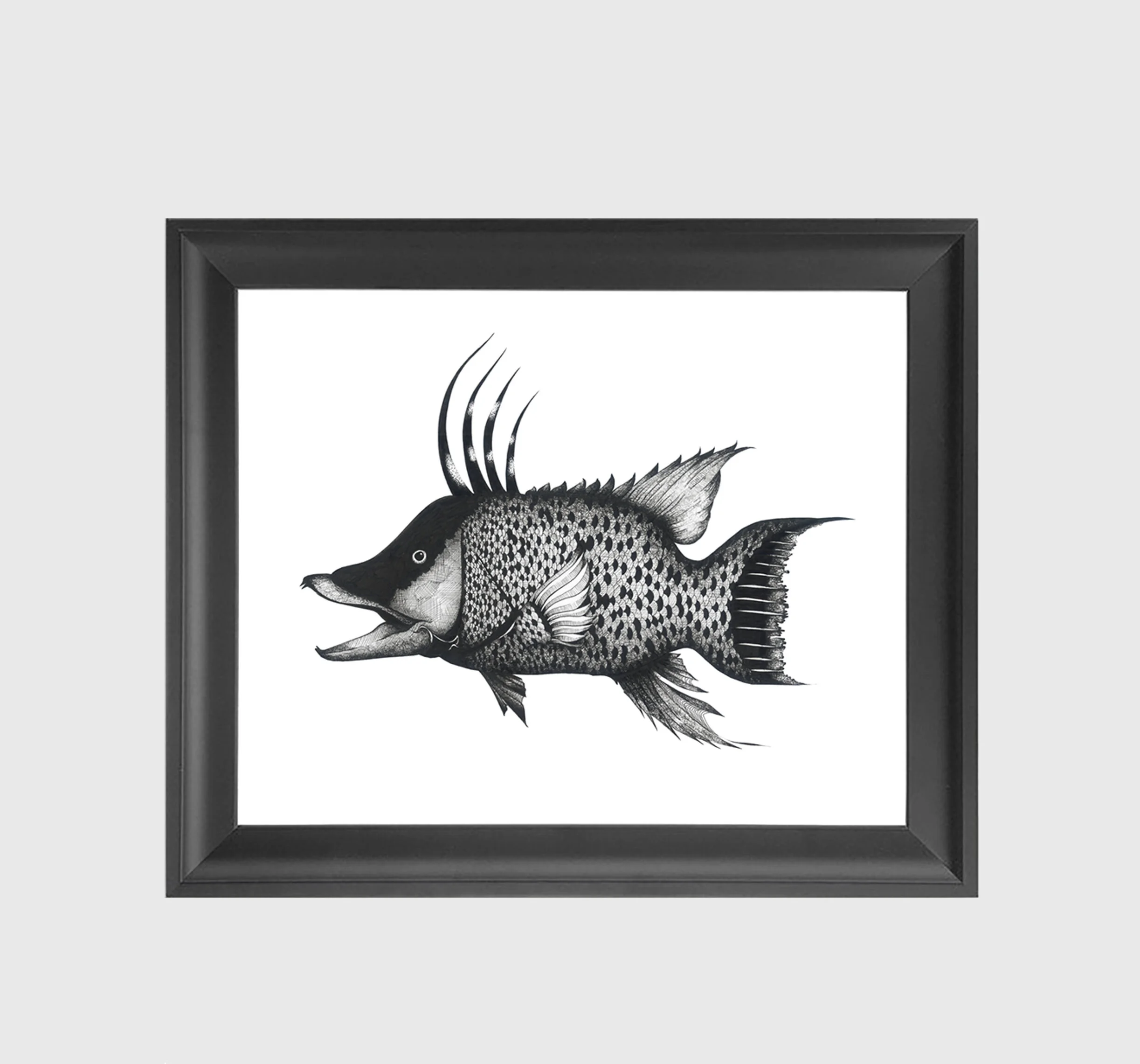 Hogfish art print by Javier Corrales featuring a colorful Florida reef fish illustrated in a contemporary coastal style.