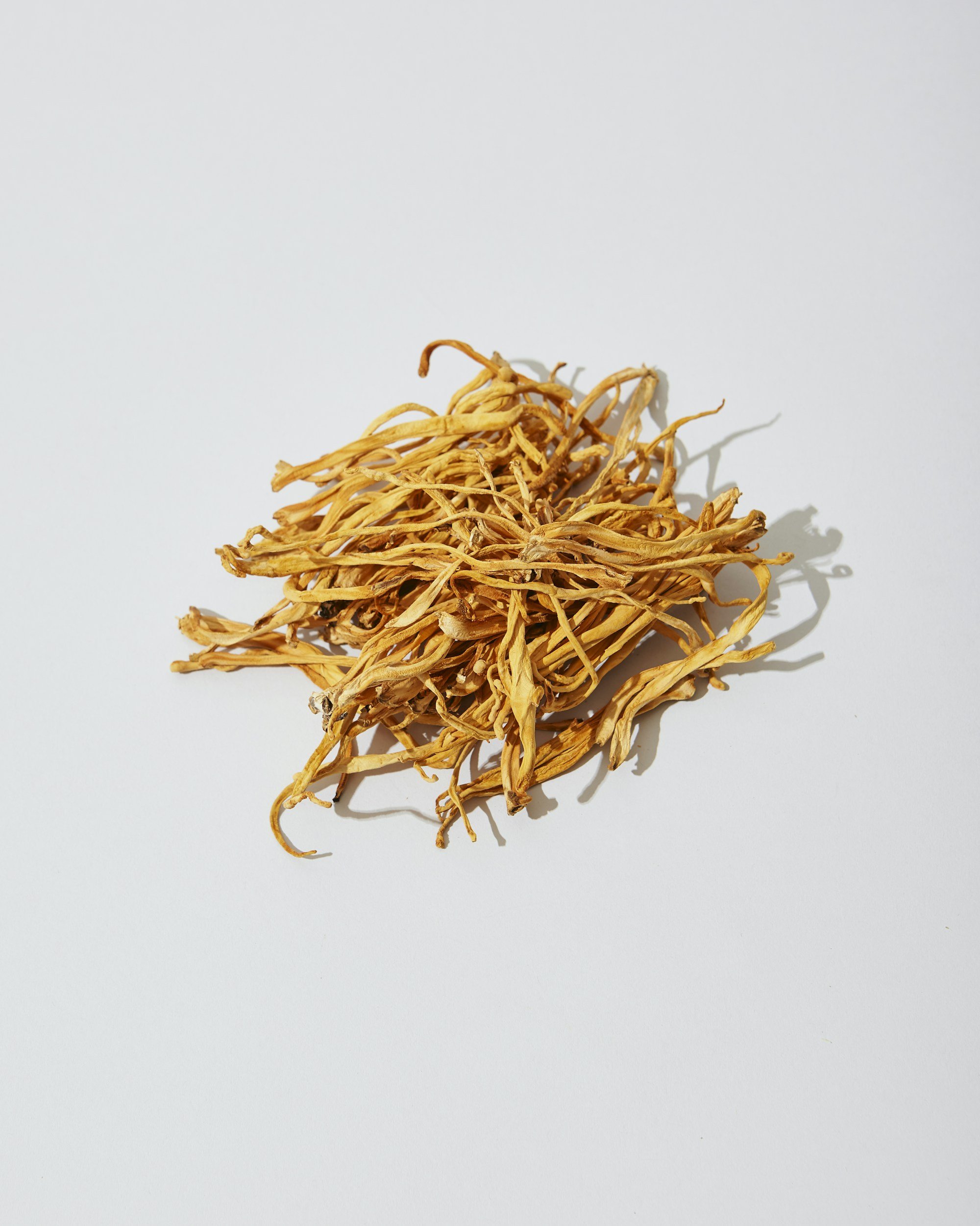 Why Cordyceps Is Taking Over the Wellness World—And How You Can Benefit