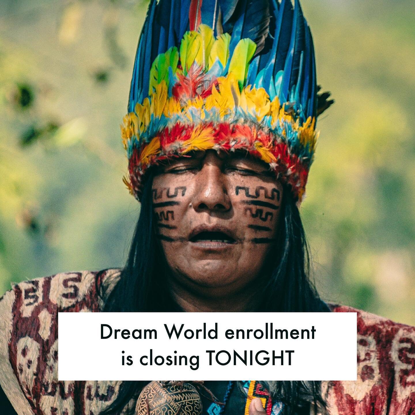 💫 LAST OPPORTUNITY TO JOIN US 💫

In just a few hours (at 11:59pm EST to be exact), the doors to&nbsp;@dreamworldprogram close and will likely not open again until the summer.
&nbsp;
If you've been considering joining Dream World, take this message 