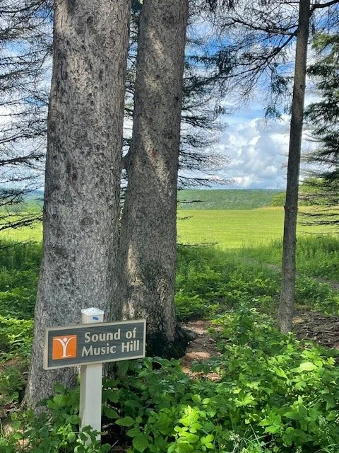 HI Photo VI- Sound of Music Hill .jpg