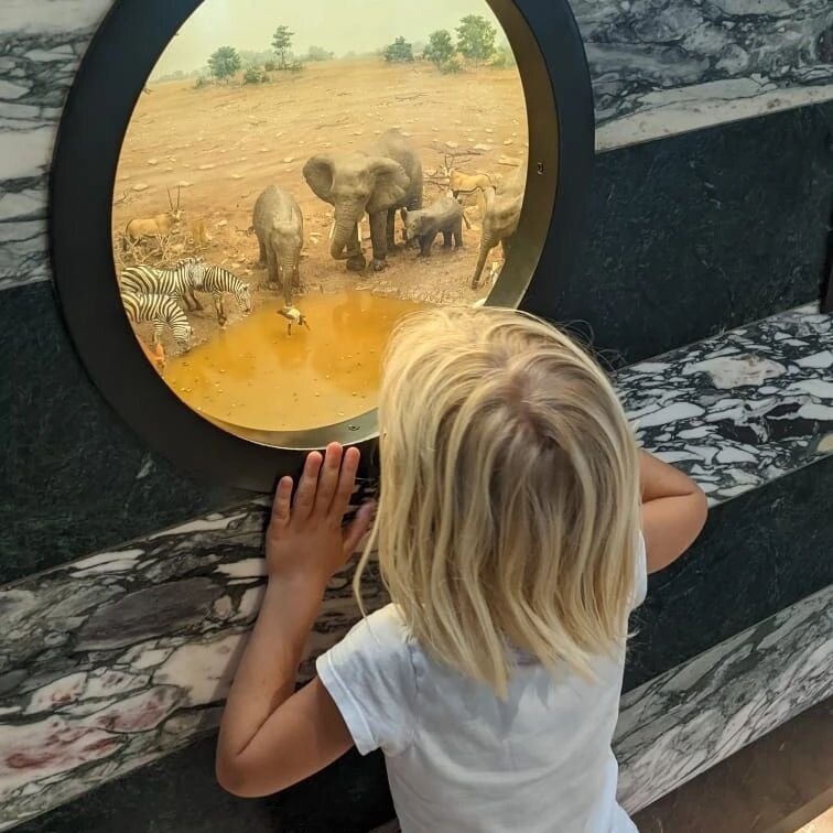 Being a Family of 5, we can highly recommend to visit Washington D.C. with children, compared to New York (where entrance fees are ridicolus expensive), there is a one Dollar bus along all the Monuments and most of the museums are for free/ donation 