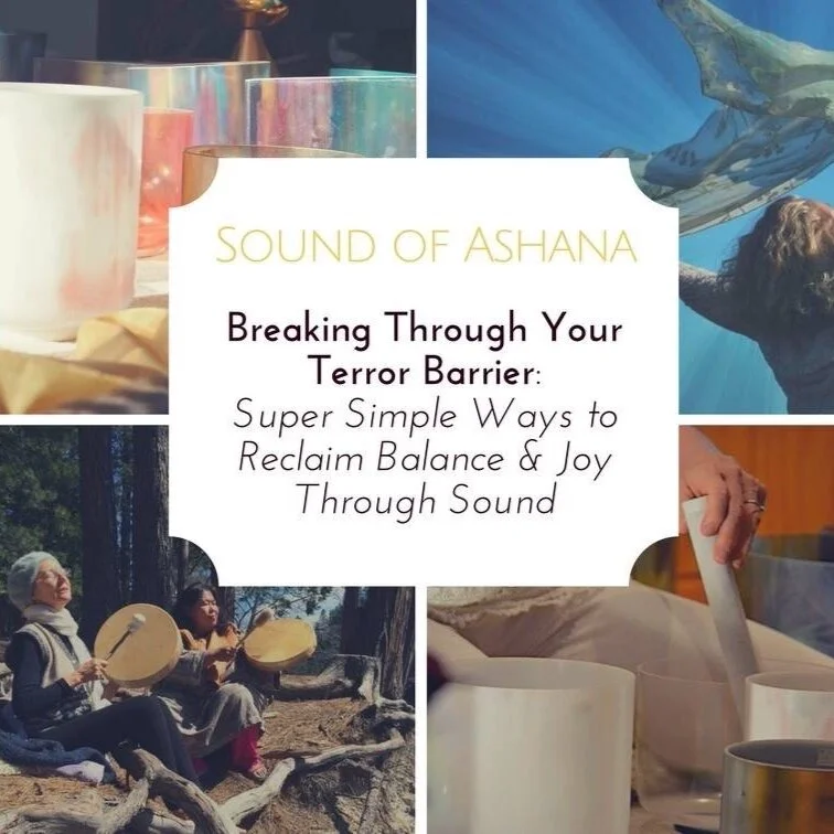 Breaking Through Your Terror Barrier: Super Simple Ways to Reclaim Balance &amp; Joy through Sound