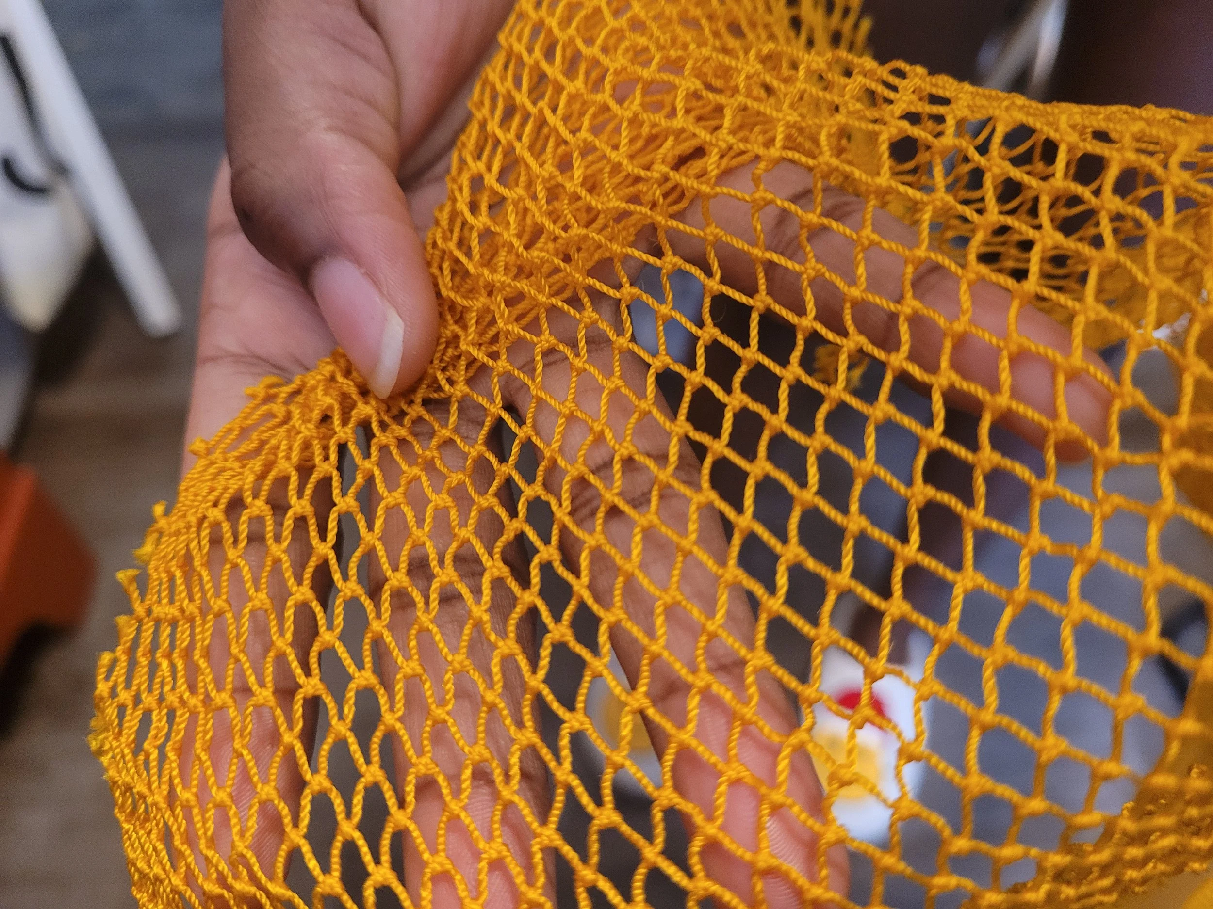 The Quality of Net Sponge I Was Expecting.jpg