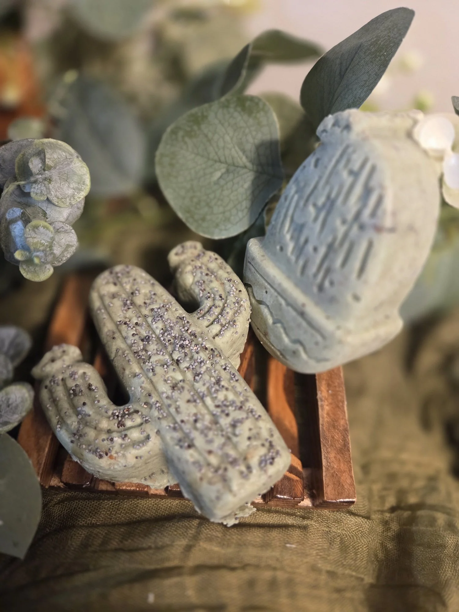 Shower Scrub - Prickly Pear