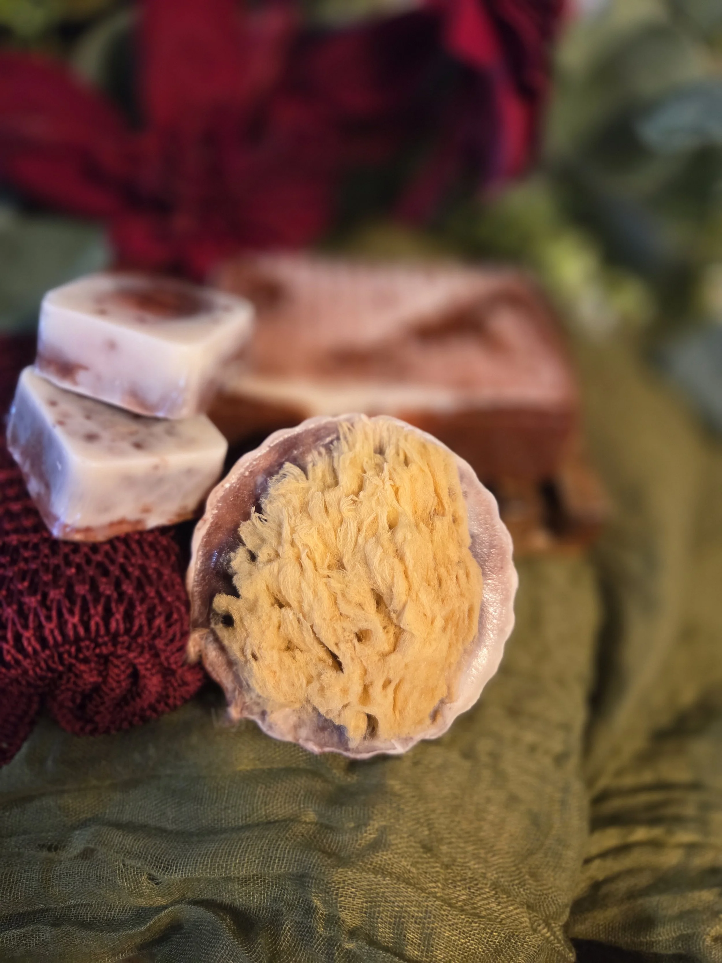 Botanical-Rose-Soap-Facial-Sea-Sponge.jpg