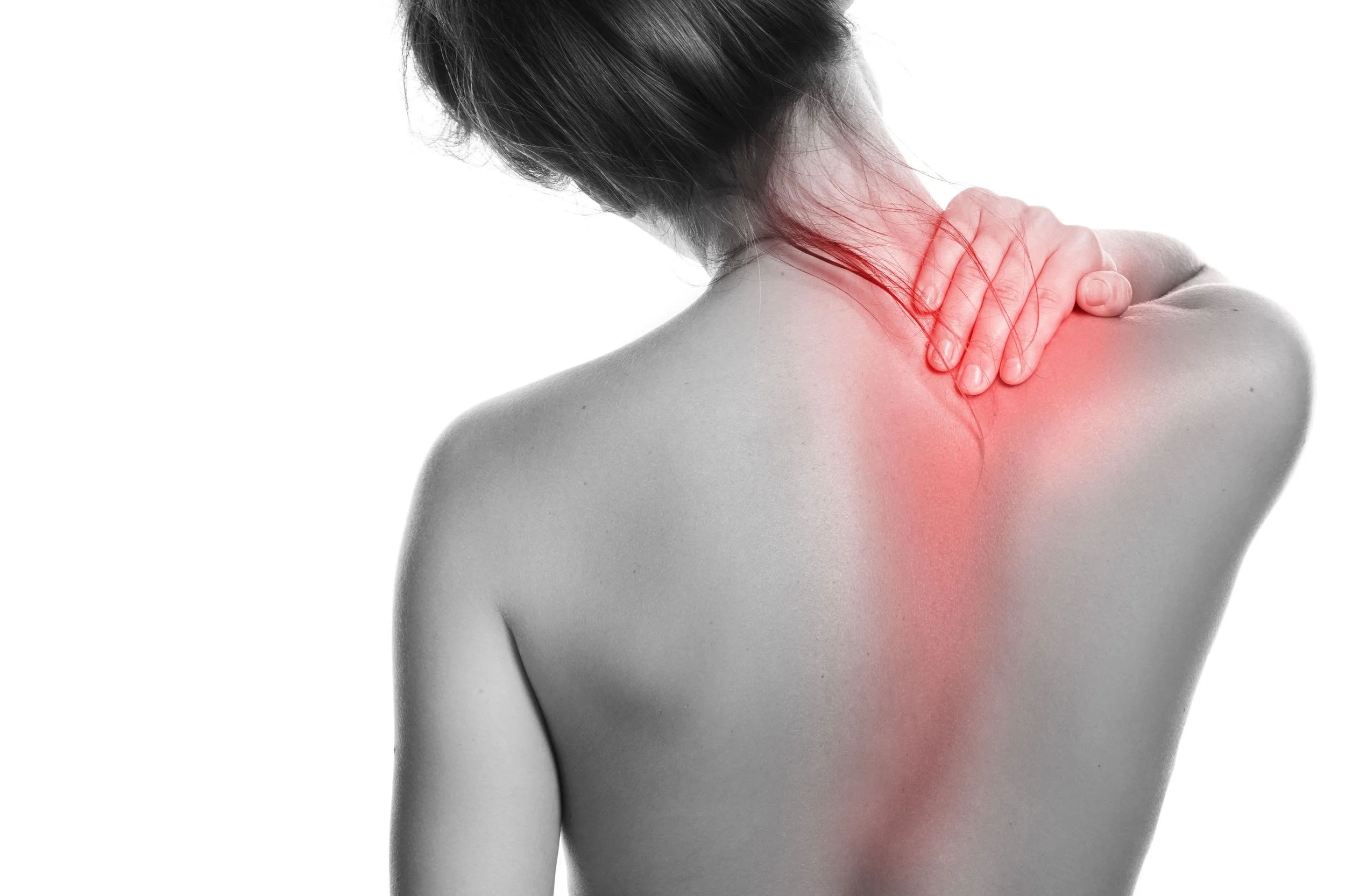 Scarllet Pain