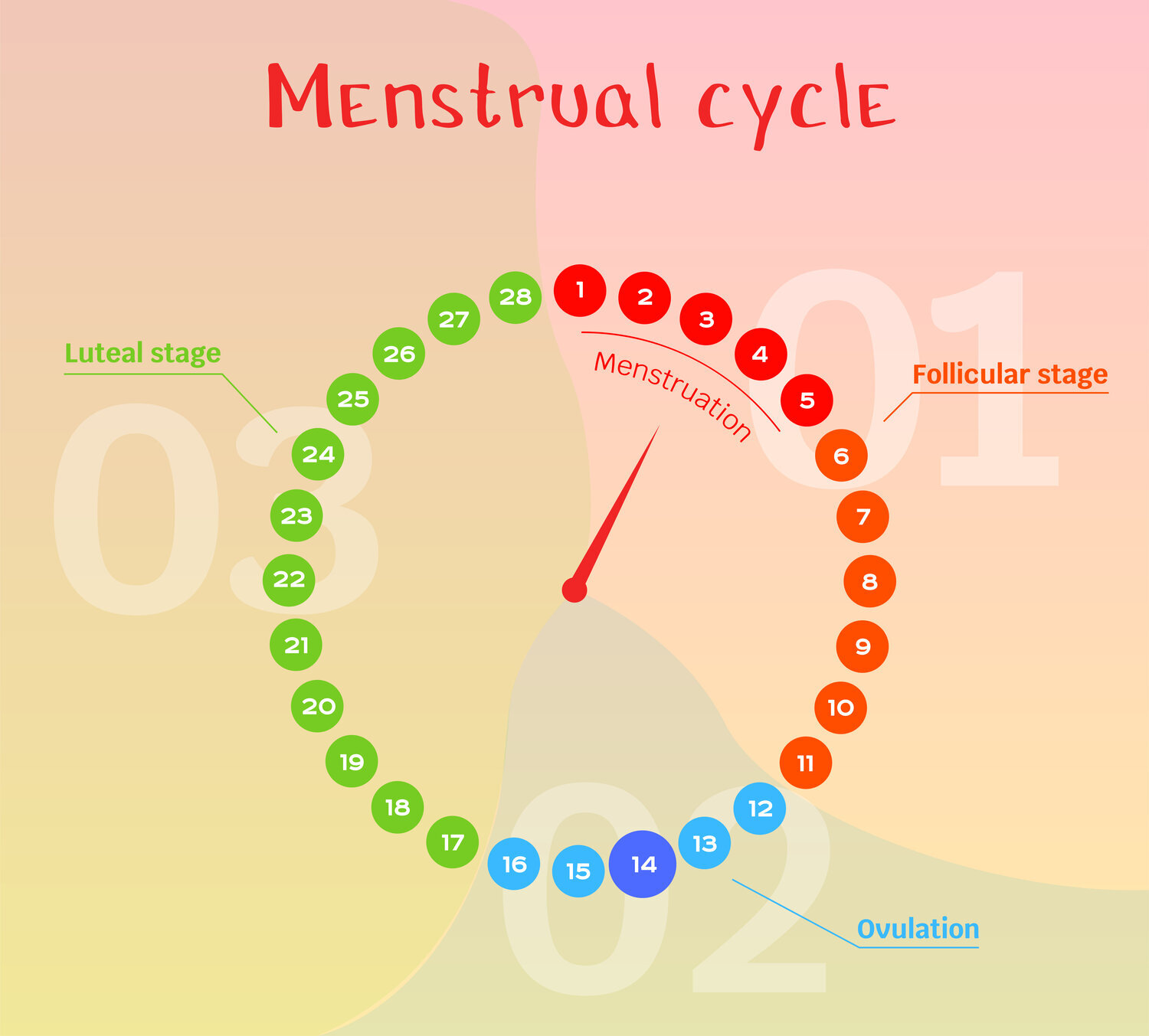 Acupuncture for Pregnancy Support – The Luteal Phase – AcuNatural