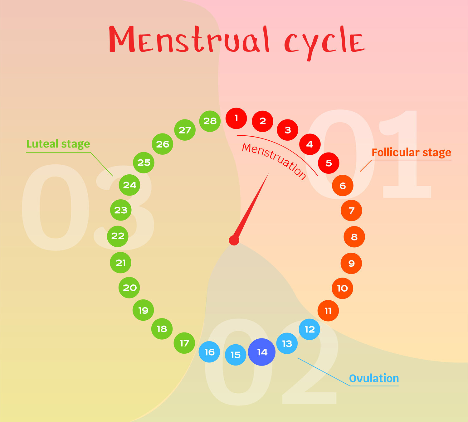 Acupuncture for Pregnancy Support – The Luteal Phase – AcuNatural Health