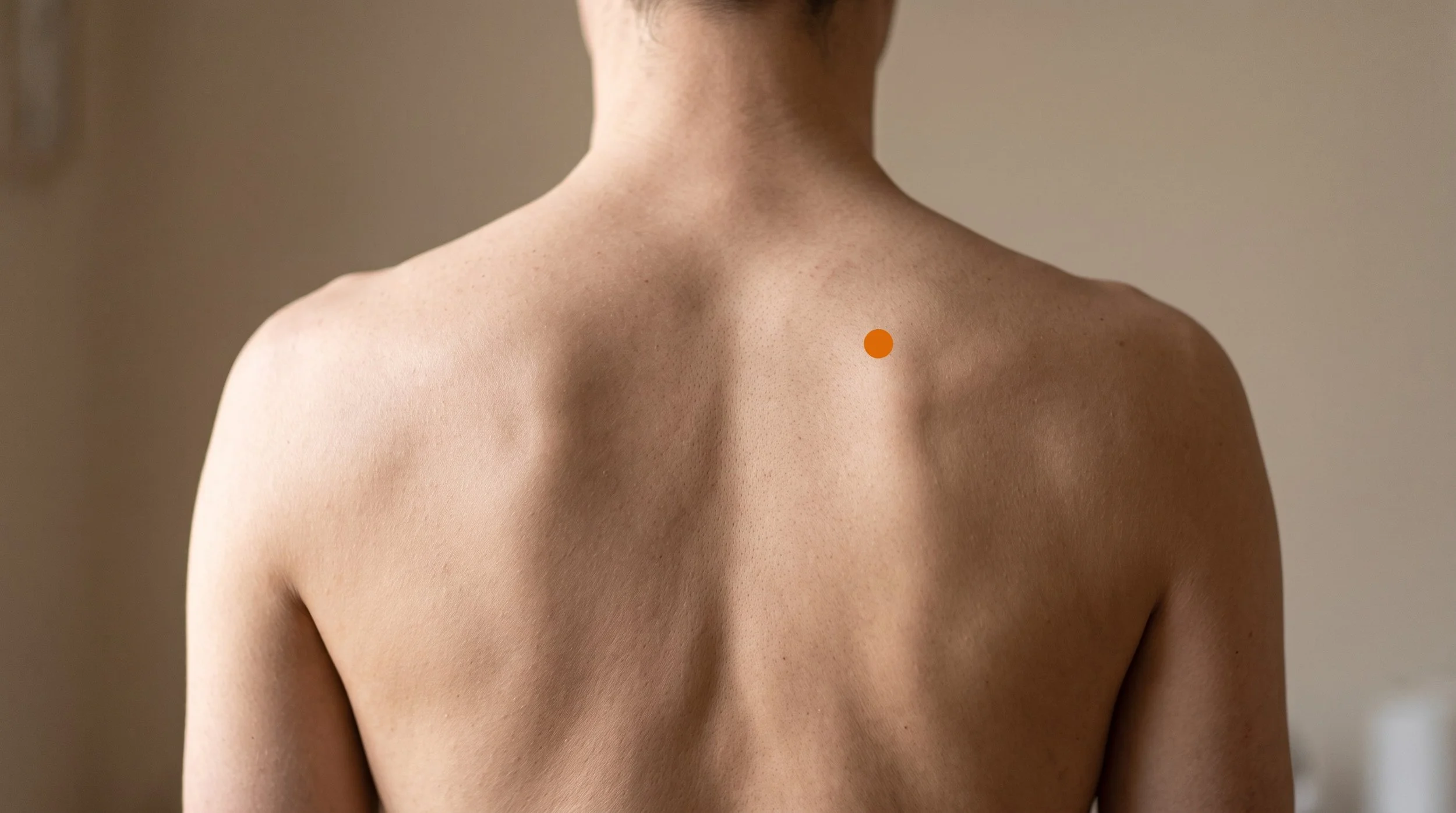 BL41 Acupuncture Point (Fufen)