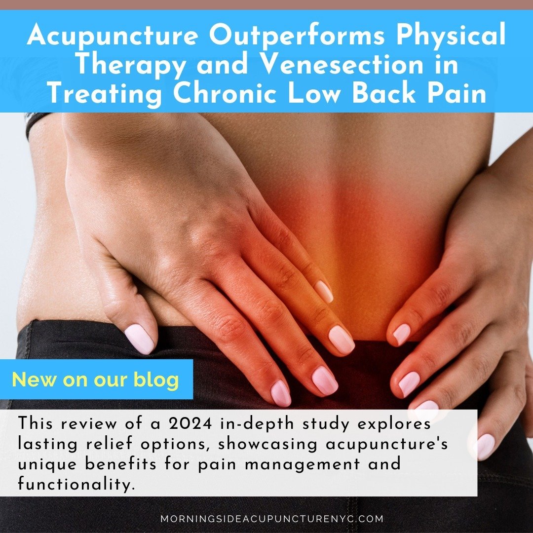 Have you ever wondered if there is more beyond conventional treatments for chronic low back pain relief? 🤔 Our latest blog looks at a 2024 study comparing acupuncture, venesection, and physical therapy.📜 Acupuncture shines in providing lasting reli