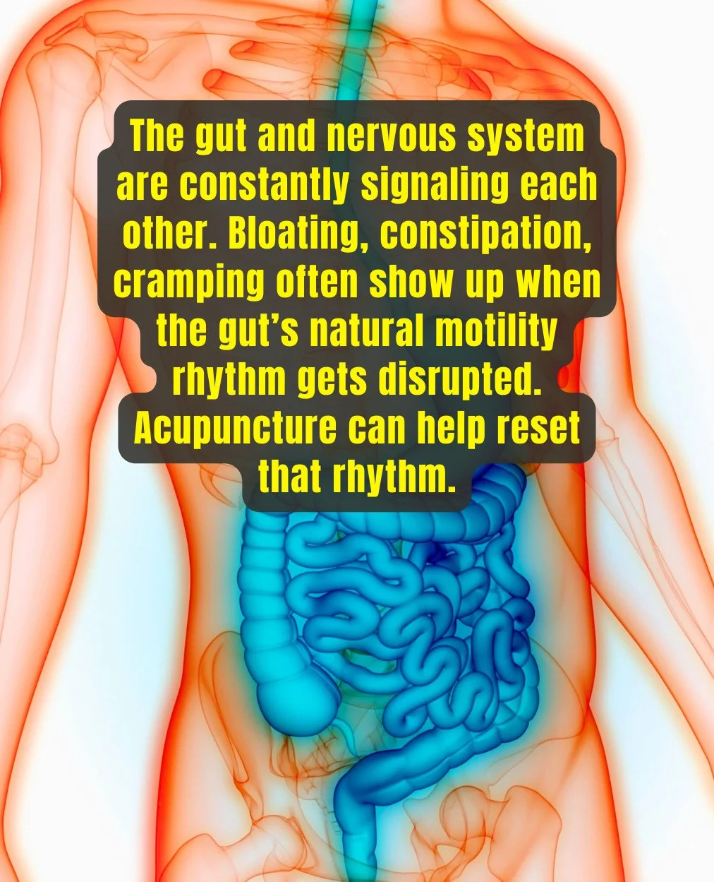 Got bloating, cramps, or bathroom roulette? This one&rsquo;s for you.⁠
⁠
When your gut is off, everything feels off&mdash;energy dips, brain fog hits, mood tanks. Stress keeps your body stuck in fight-or-flight, and digestion gets benched.⁠
⁠
I see y