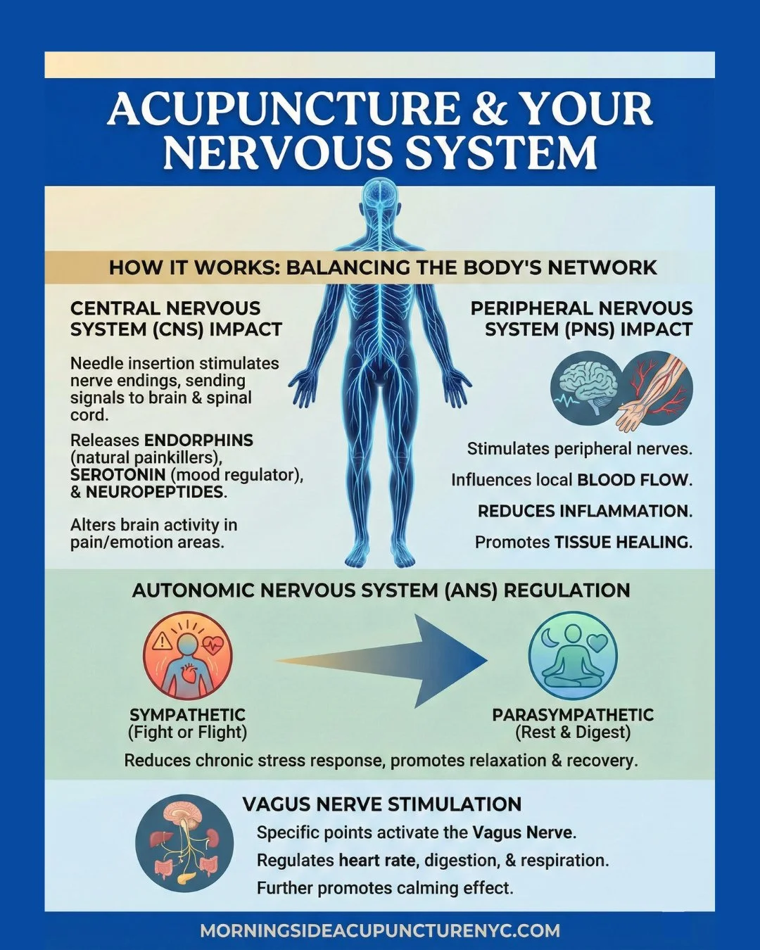 Acupuncture doesn&rsquo;t just treat symptoms &mdash; it helps rebalance your nervous system. 🧠⚖️⁠
⁠
From stress 😵&zwj;💫 and pain 💥 to digestion 🍽️ and inflammation 🔥, real healing starts when your body feels safe again. 😌⁠
⁠
Save this 📌 if y
