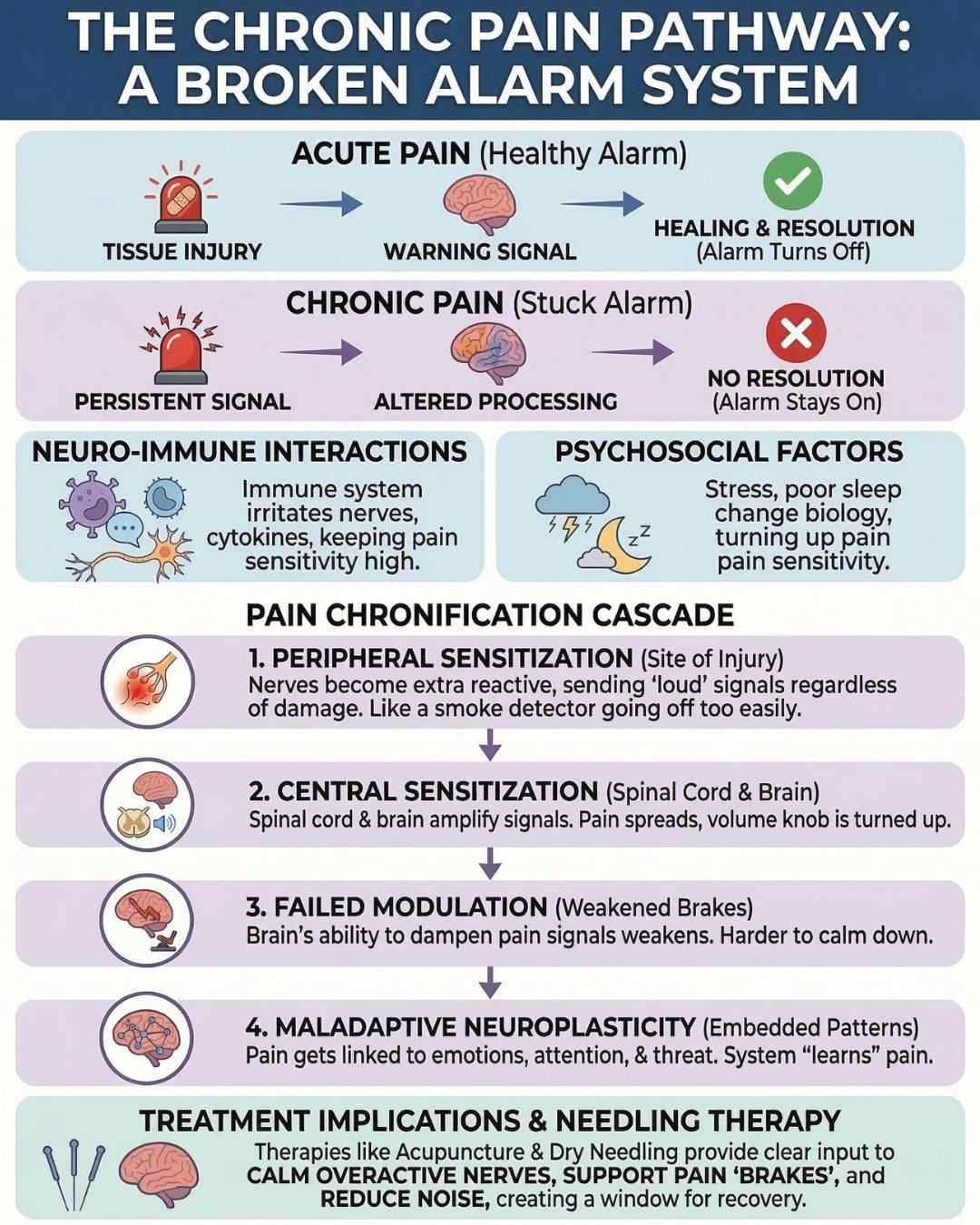 Most people think chronic pain means something is still broken. But science tells a different story. 🔬⁠
⁠
Chronic pain is a nervous system problem, not just a tissue issue. Here&rsquo;s what&rsquo;s happening:⁠
⁠
💥 Local nerves become overreactive 