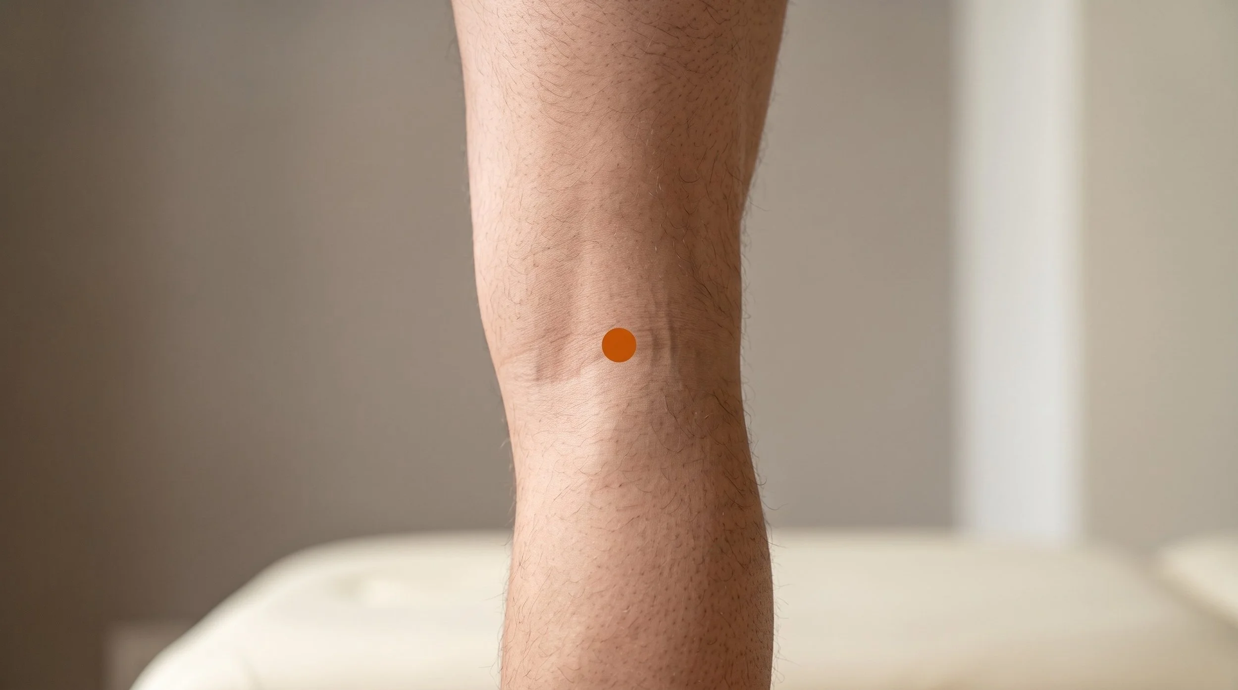 BL40 Acupuncture Point