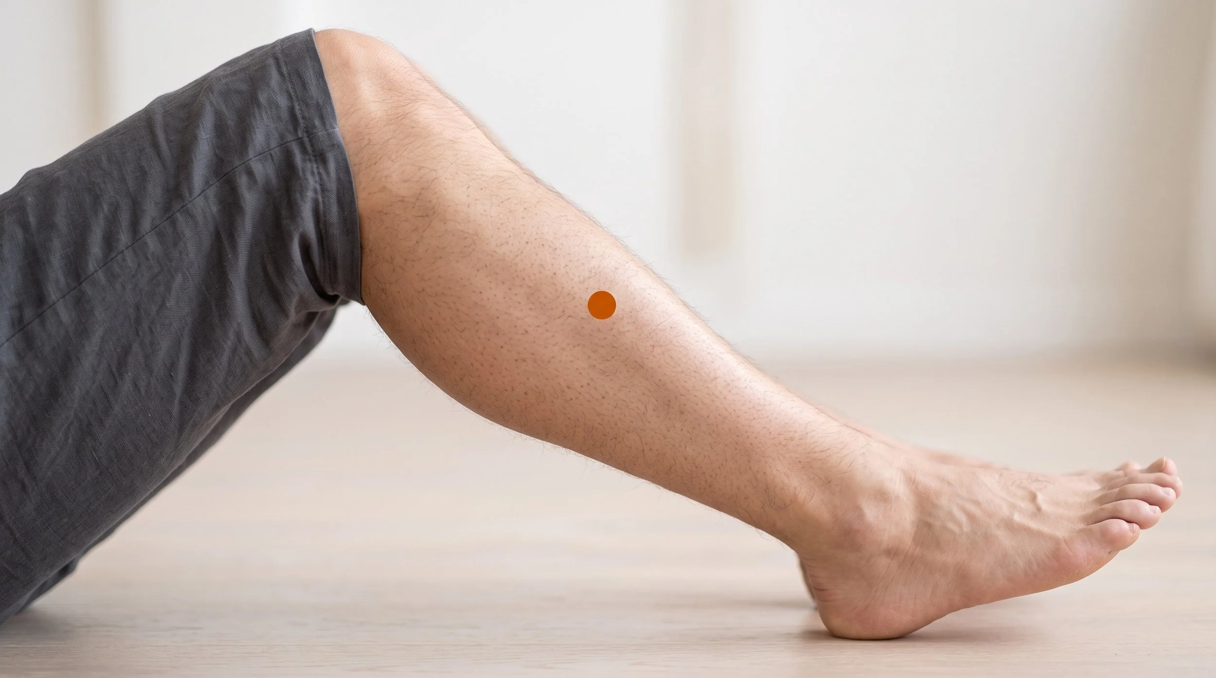 ST40 Acupuncture Point