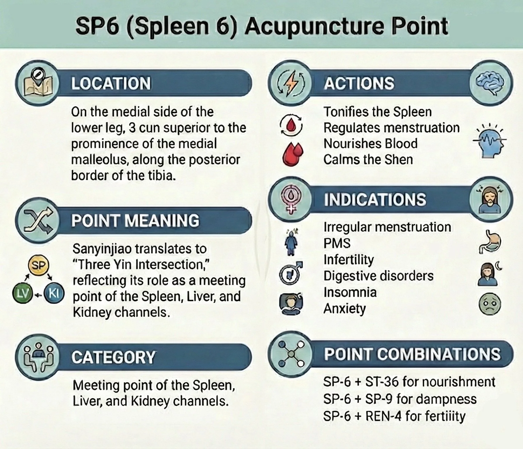 SP6 Acupuncture Point Infographic