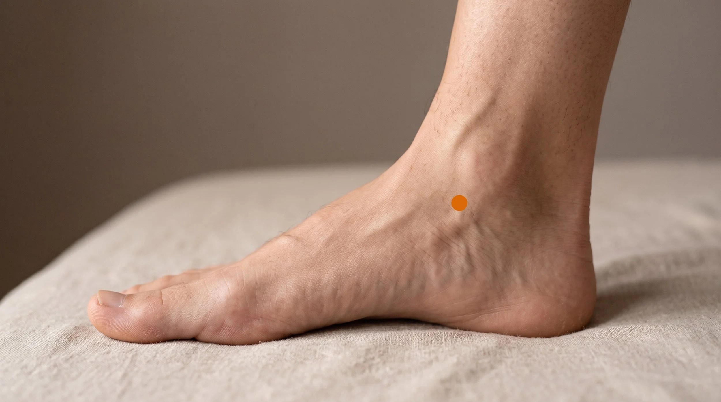 SP5 Acupuncture Point (Shangqiu)