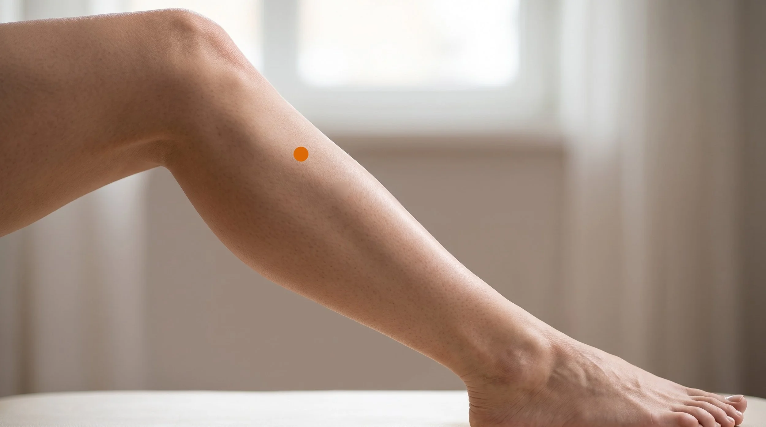 ST37 Acupuncture Point
