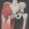 Acupuncture For Piriformis Trigger Points Morningside Acupuncture NYC acupuncture-for-piriformis-trigger-points-morningside-acupuncture-nyc