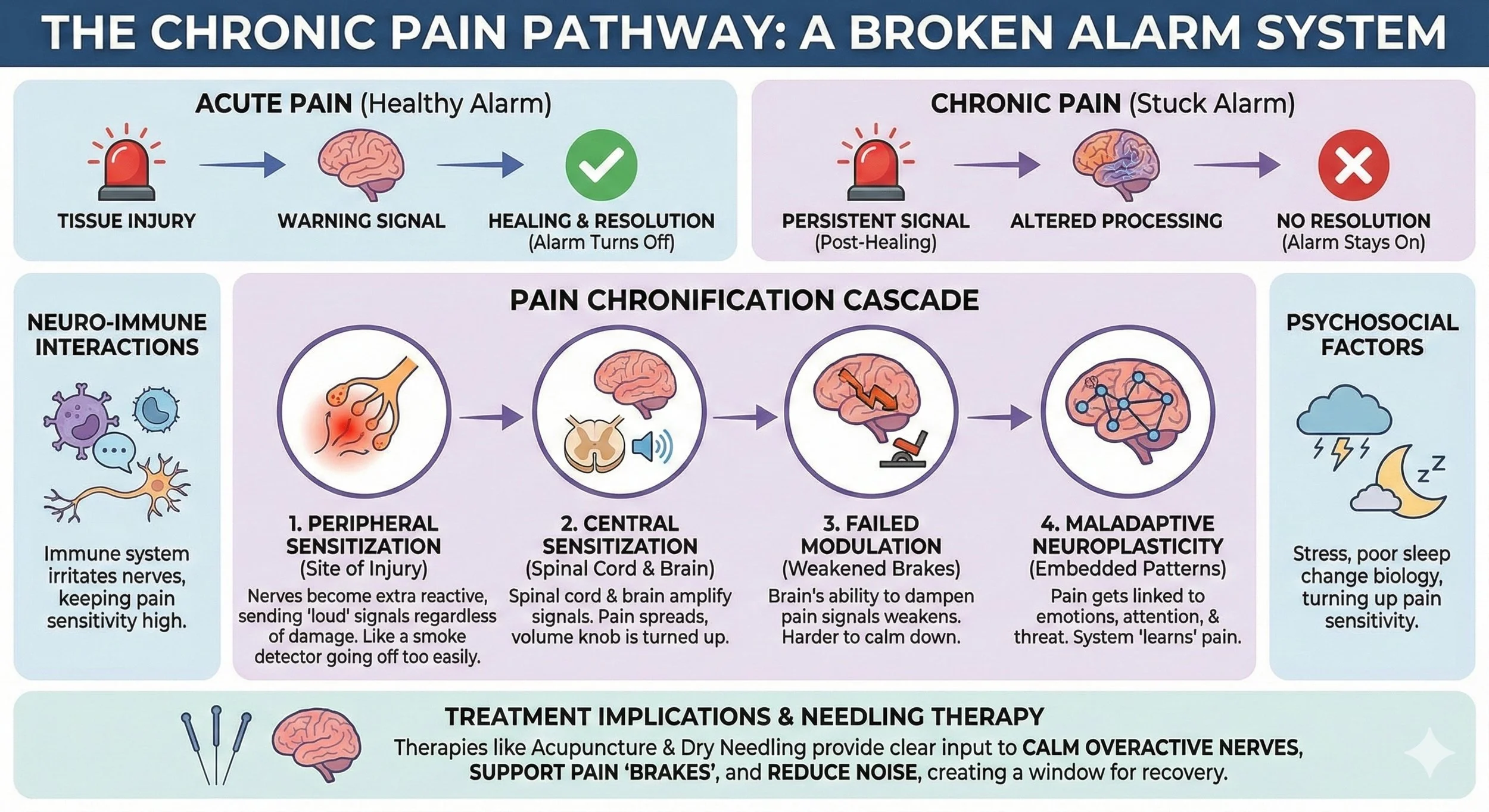 Reviewing the Pathophysiology of Chronic Pain — Morningside Acupuncture NYC