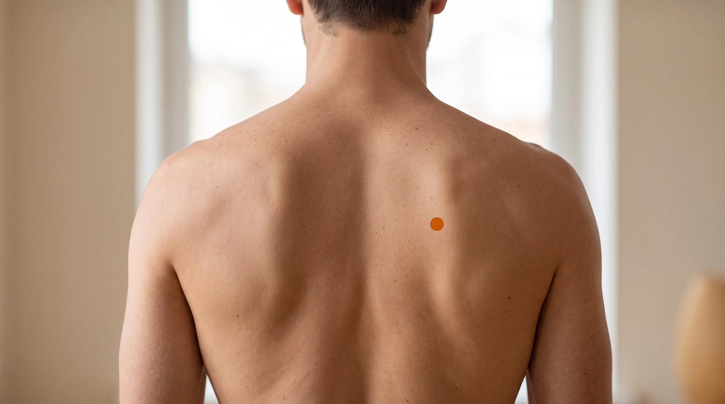 BL43 Acupuncture Point (Gaohuangshu)