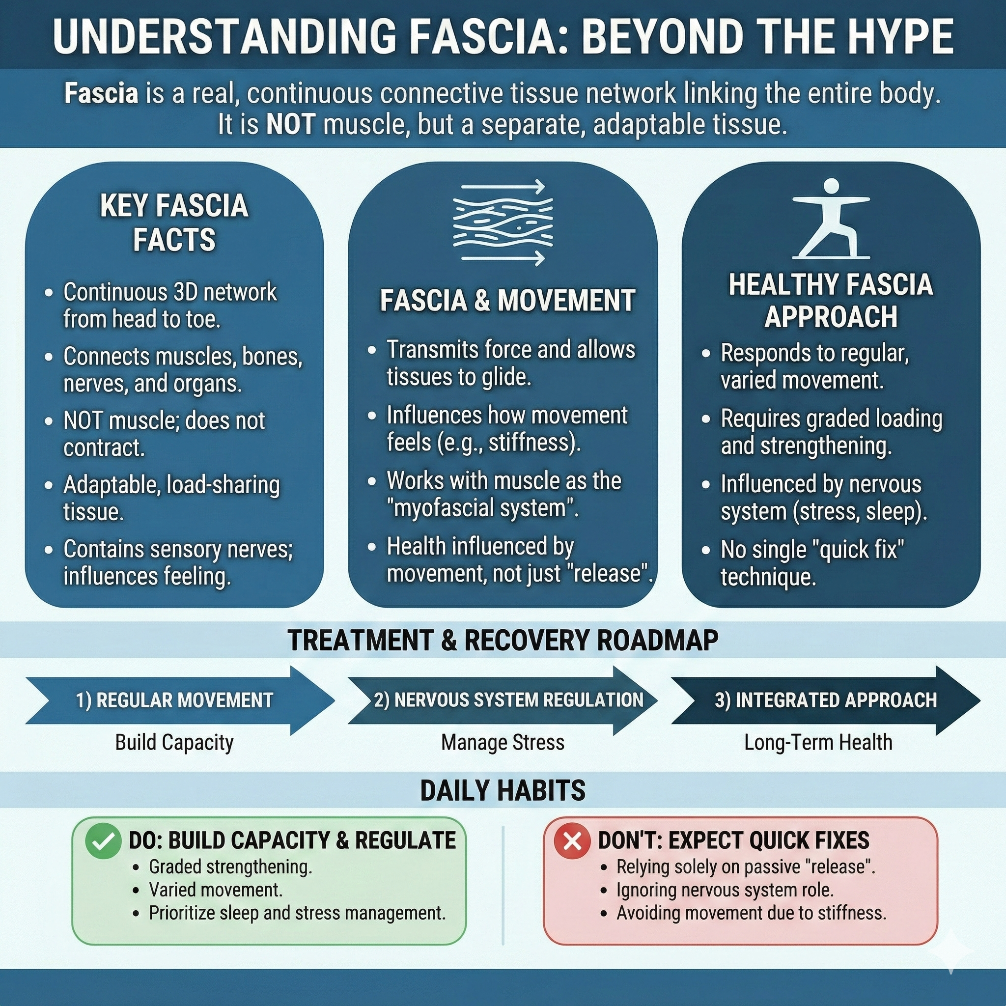 What is Fascia Infographic