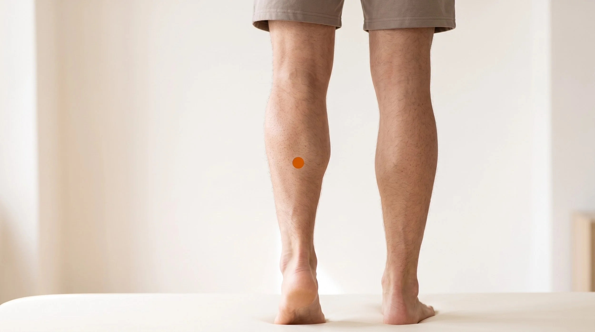 BL57 Acupuncture Point (Chengshan)