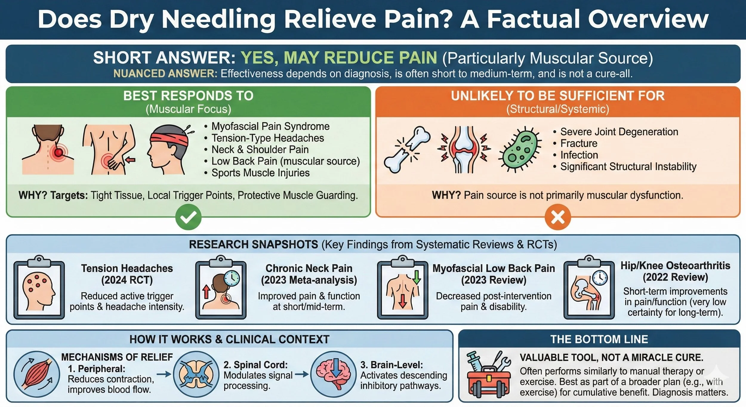 Does Dry Needling Relieve Pain? — Morningside Acupuncture NYC