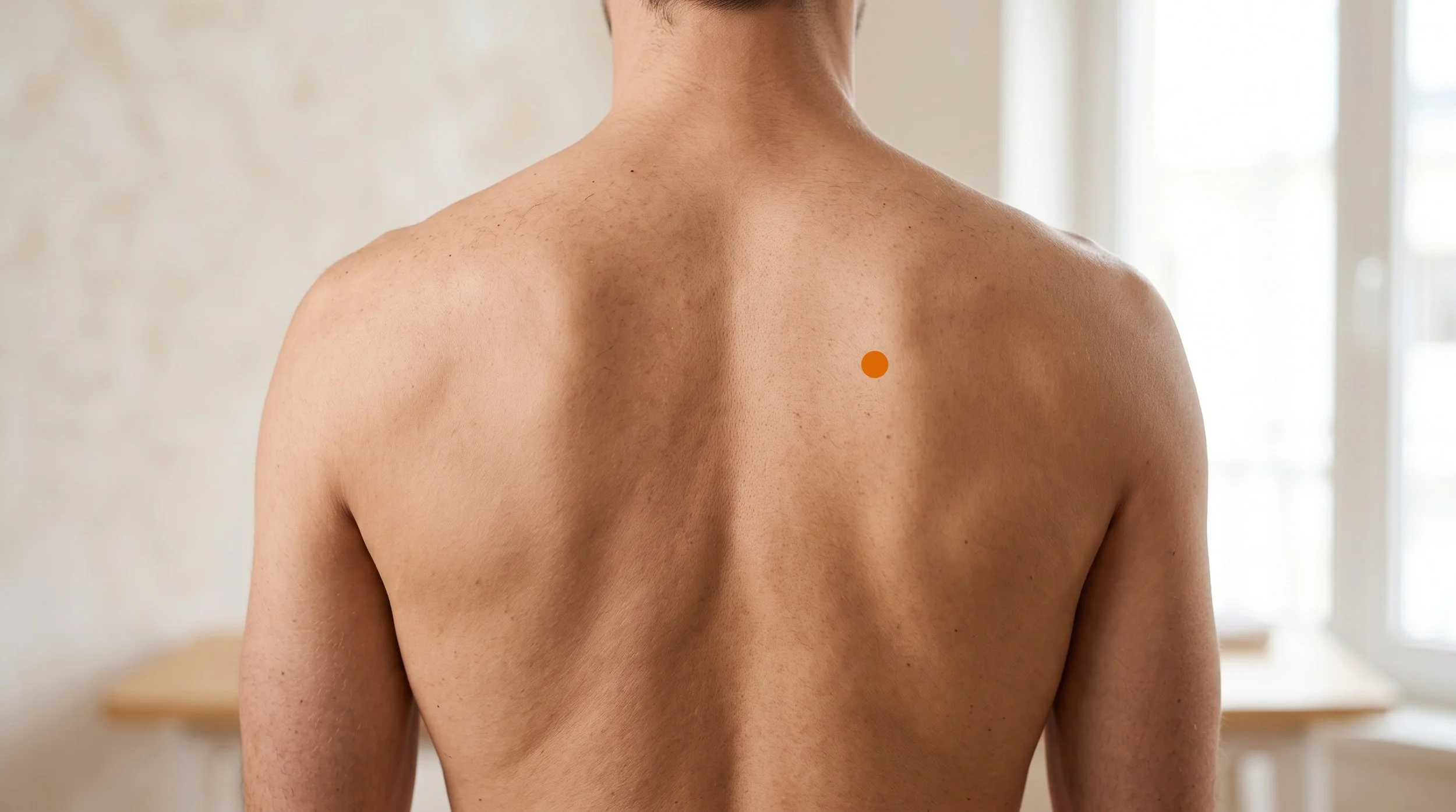 BL42 Acupuncture Point (Pohu)