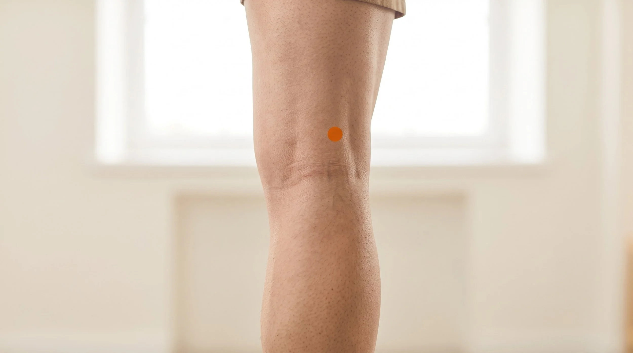 BL38 Acupuncture Point (Fuxi)