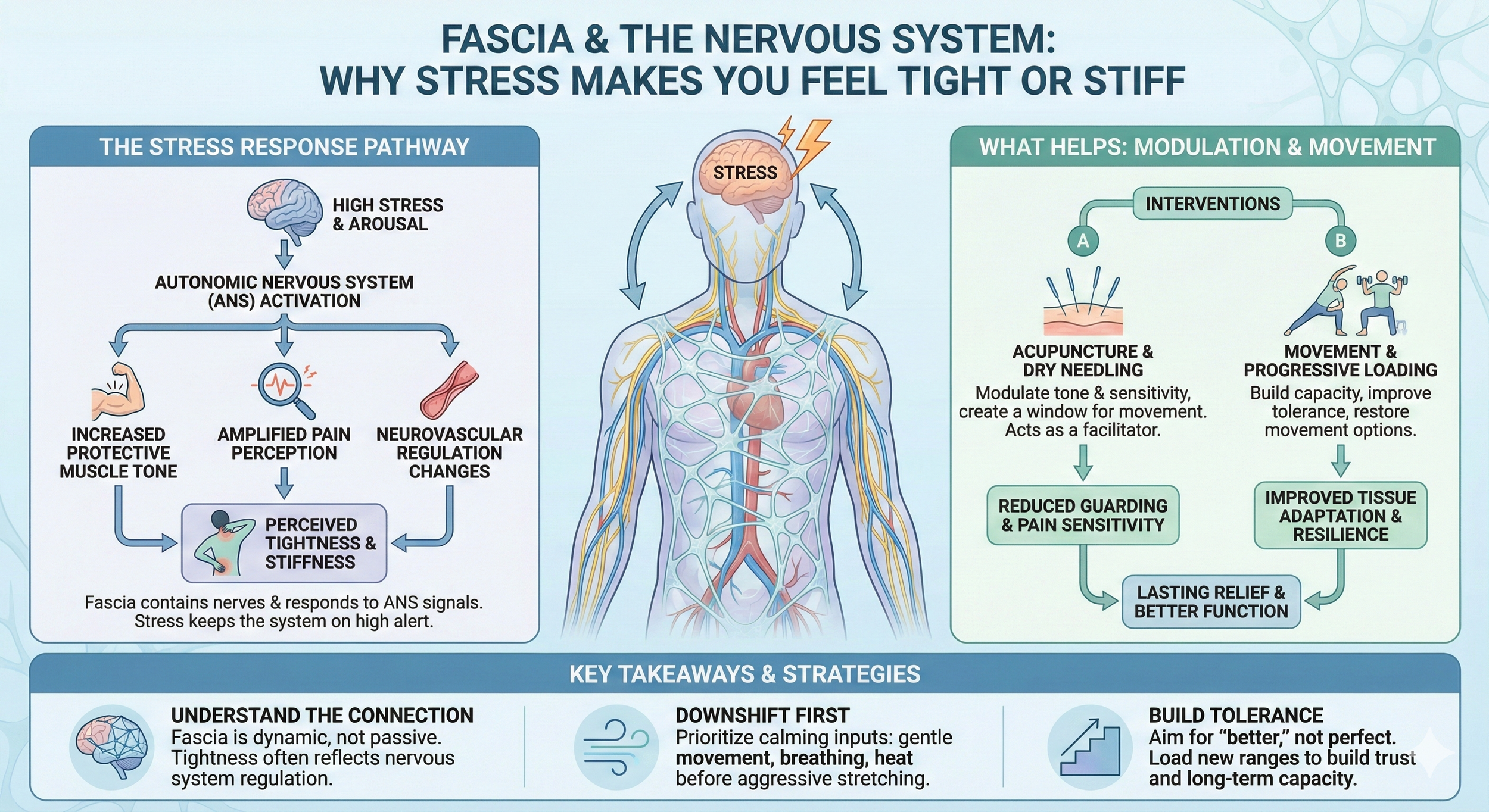 Fascia and the Nervous System