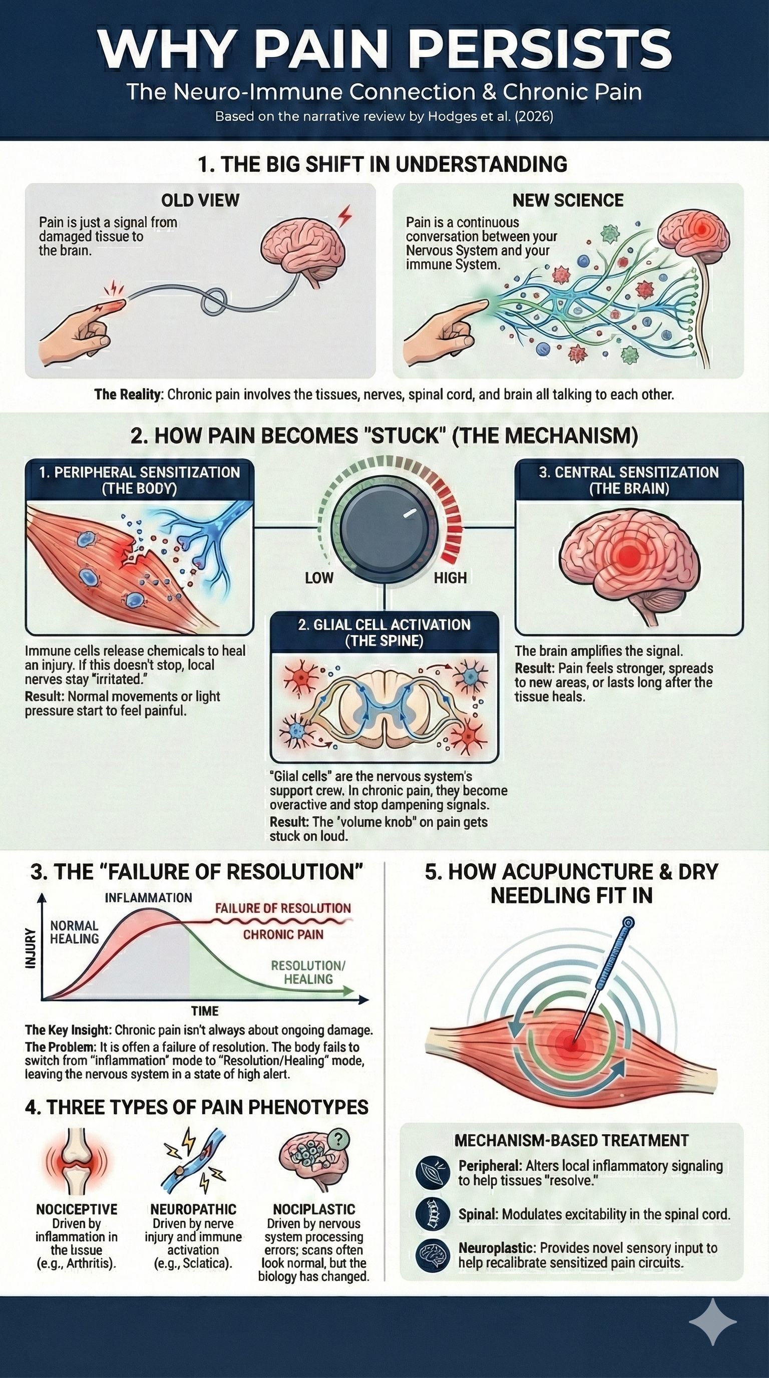 Pain and Immune System Infographic