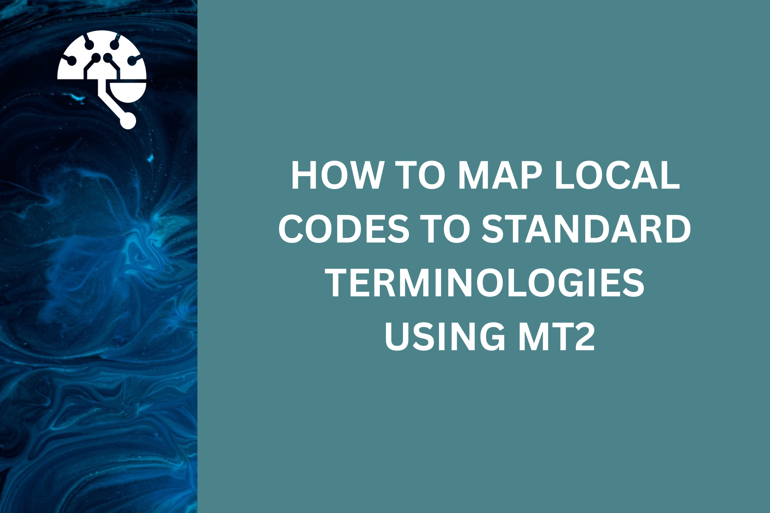 How to Map Local Codes to Standard Terminologies Using MT2