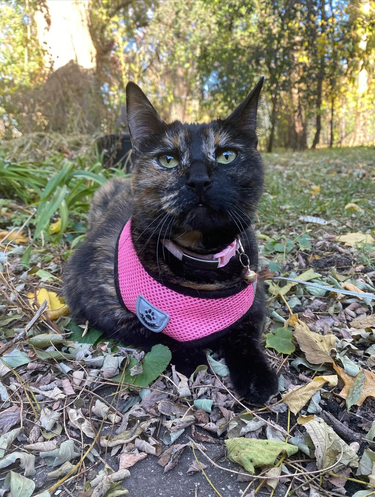 November is beautiful 🍂