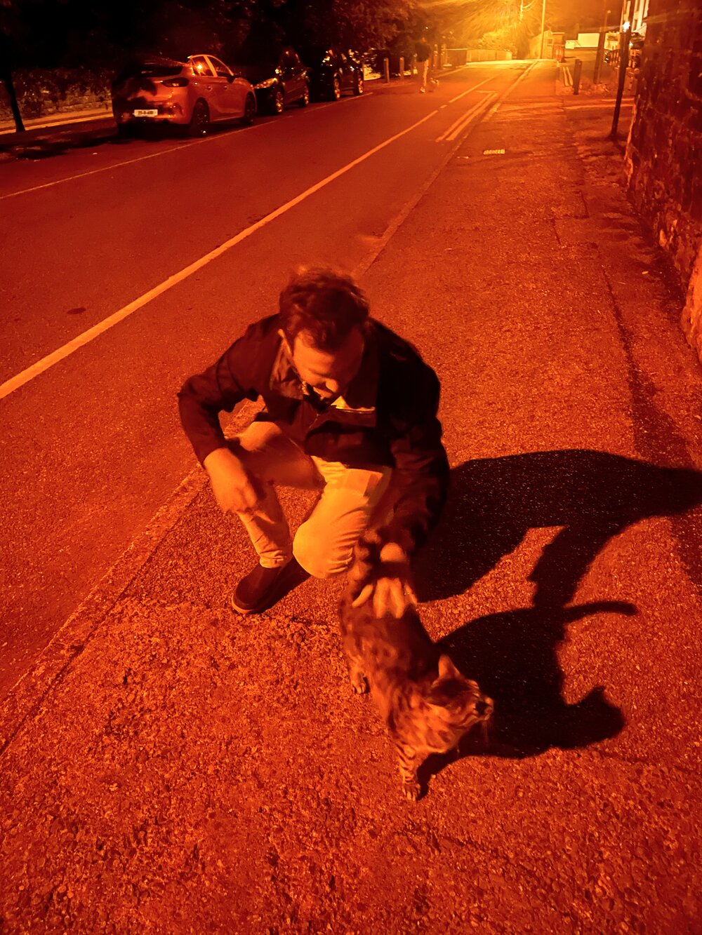 Brian the cat whisperer found a friend on the way home from the pub