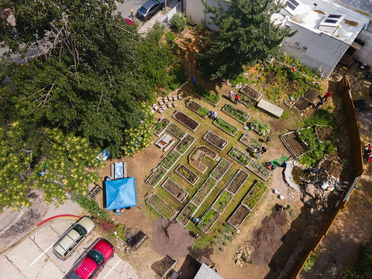 Aerial view of the Dunsmuir Community Garden