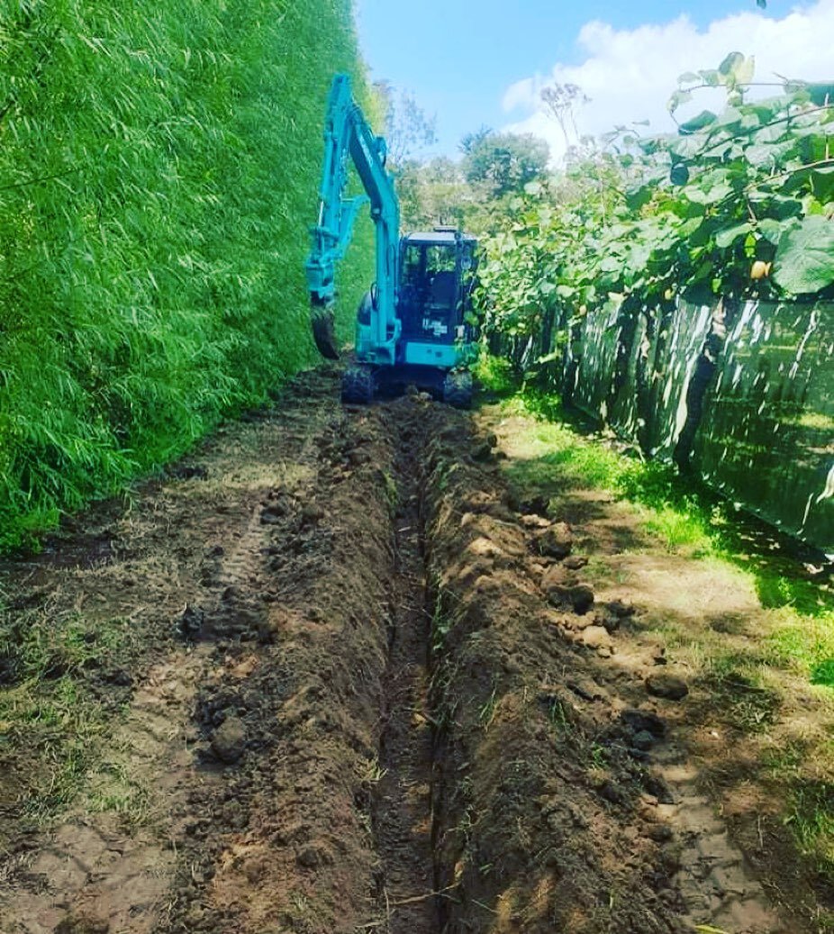 When you get a job at a kiwi fruit orchard&hellip;. All you can eat kiwifruit 🥝 @seekanz 

#coromandel #diggeroperator #operator #waikato #excavator #digger #excavation #residential #truck #orchard #kiwifruit #eat #5tdigger #trench #digout