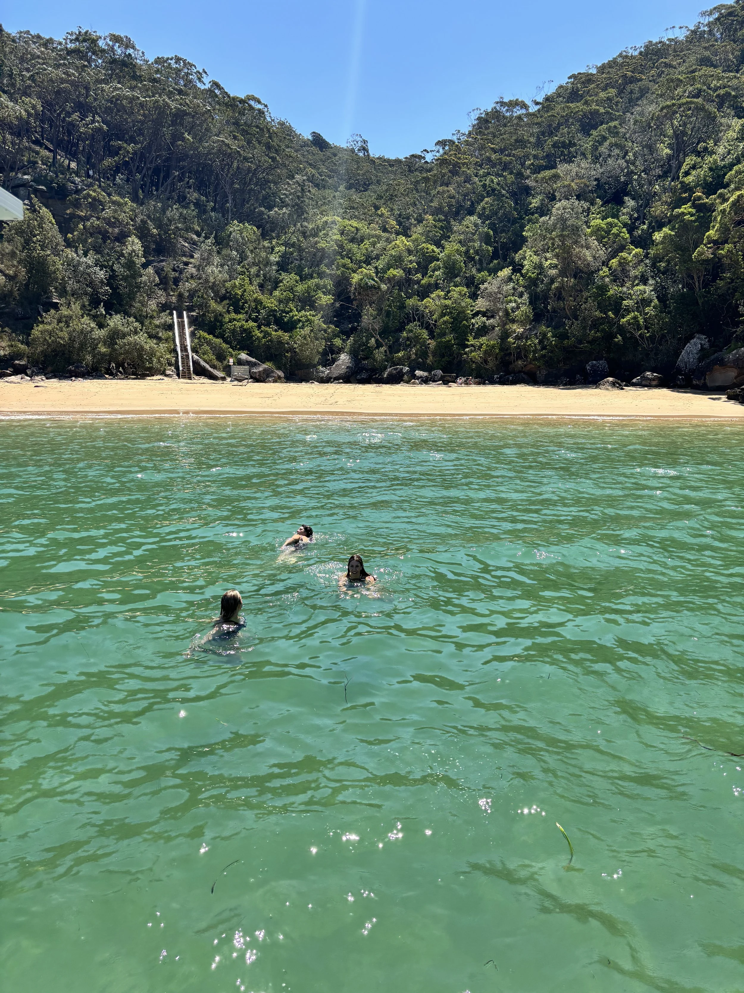 People swimming in clear green water near a sandy beach with lush green trees on a hill under a blue sky.