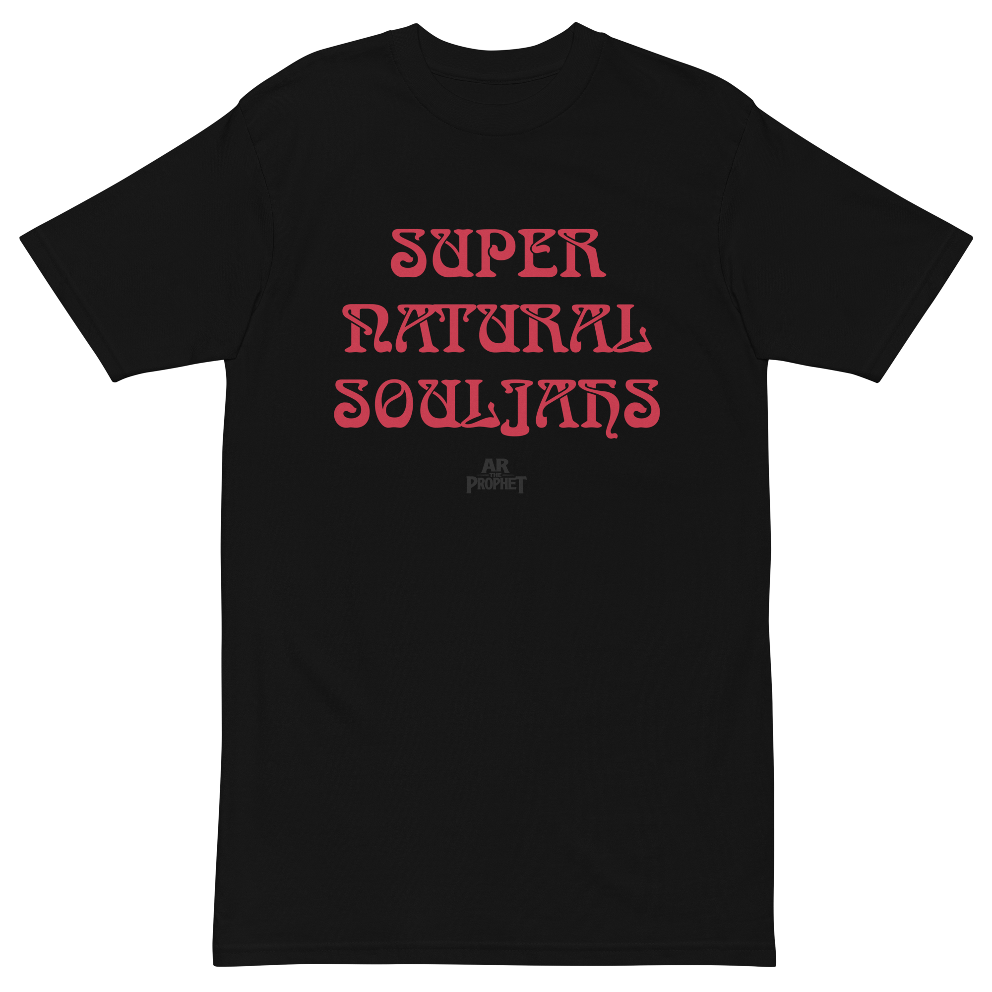 mens-premium-heavyweight-tee-black-front-66dd1cf018cd6.png