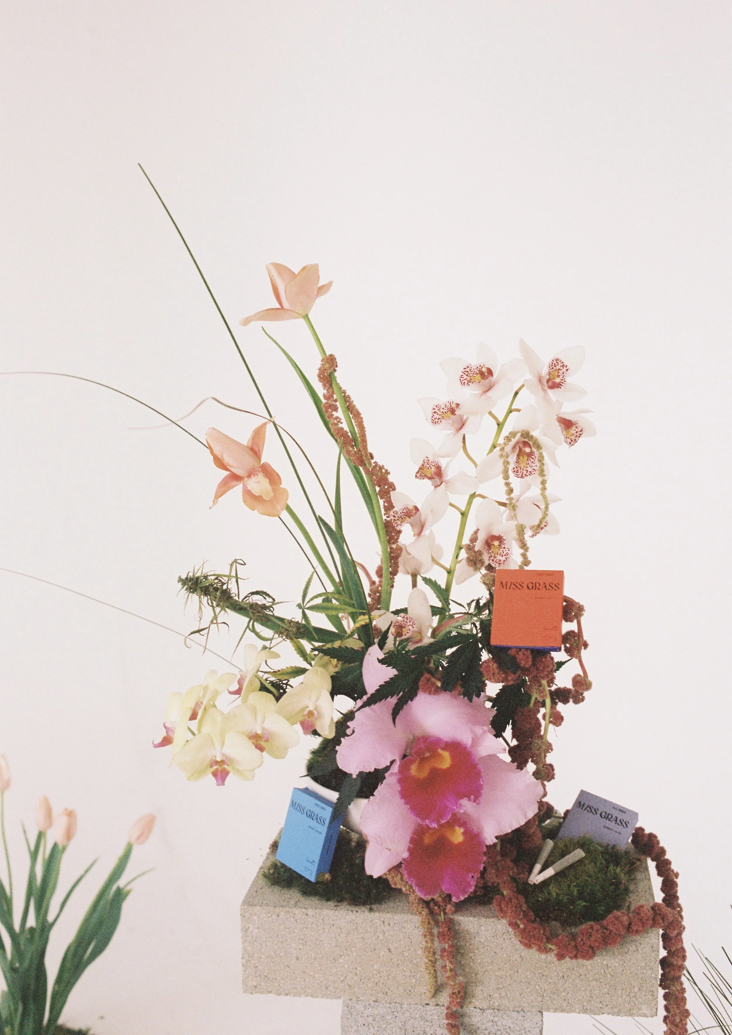 Photo Apr 17 2023, 6 38 04 PM.jpg