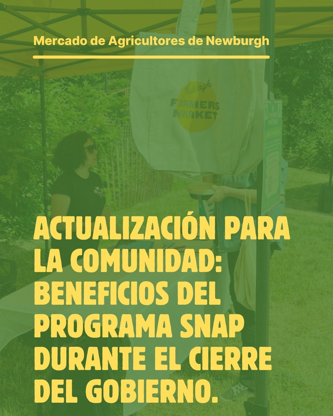 Actualización para la comunidad: Beneficios SNAP/EBT durante el cierre del gobierno
En el Mercado de Agricultores de Newburgh, administrado por Common Ground Farm, la equidad y el acceso son fundamentales para nosotros y queremos mantener info