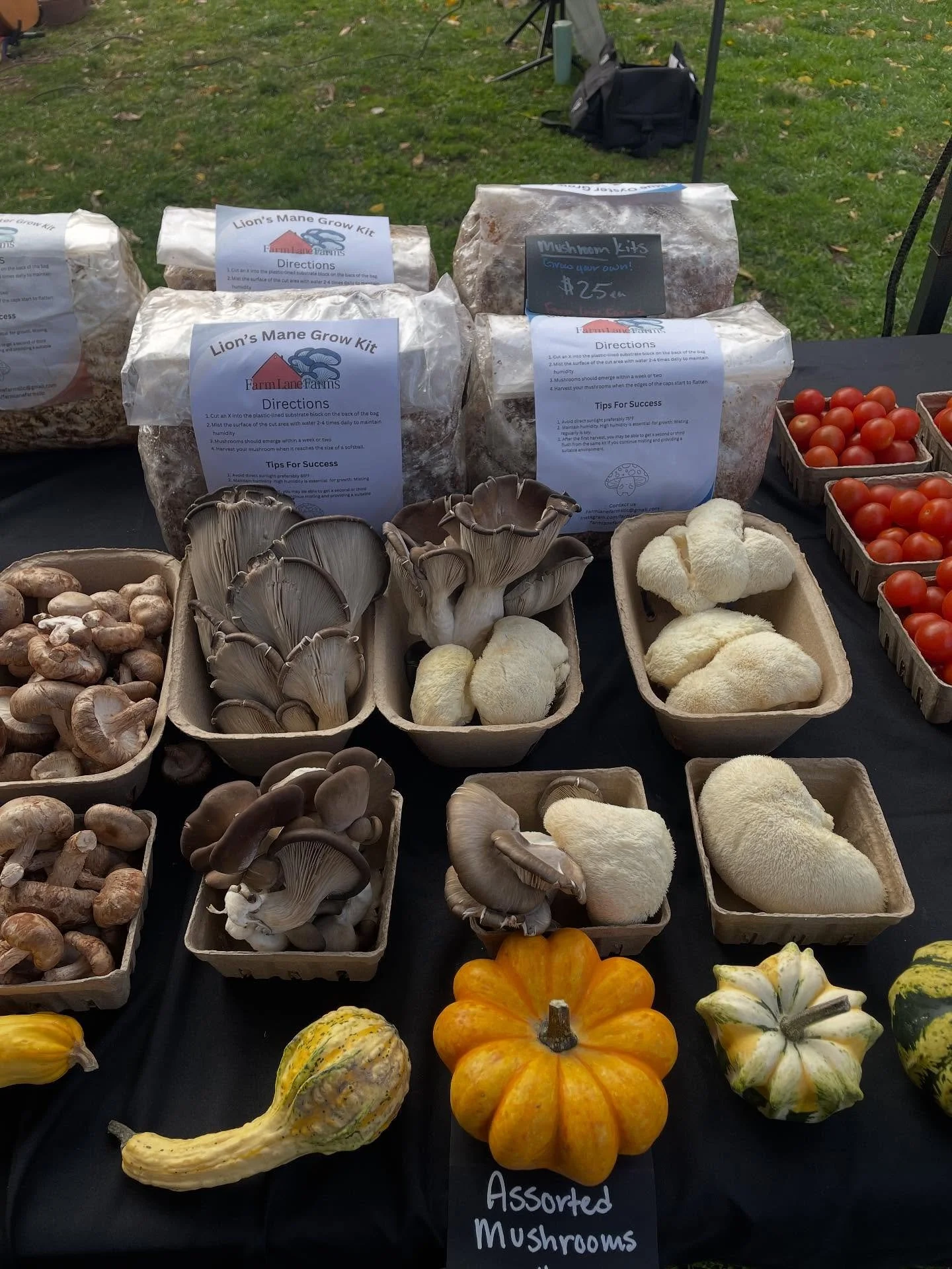 New Vendor Alert! 🚨Stop by nd say hello to our newest vendor @farmlanefarmsllc! Former mushrooms and plant based body care!