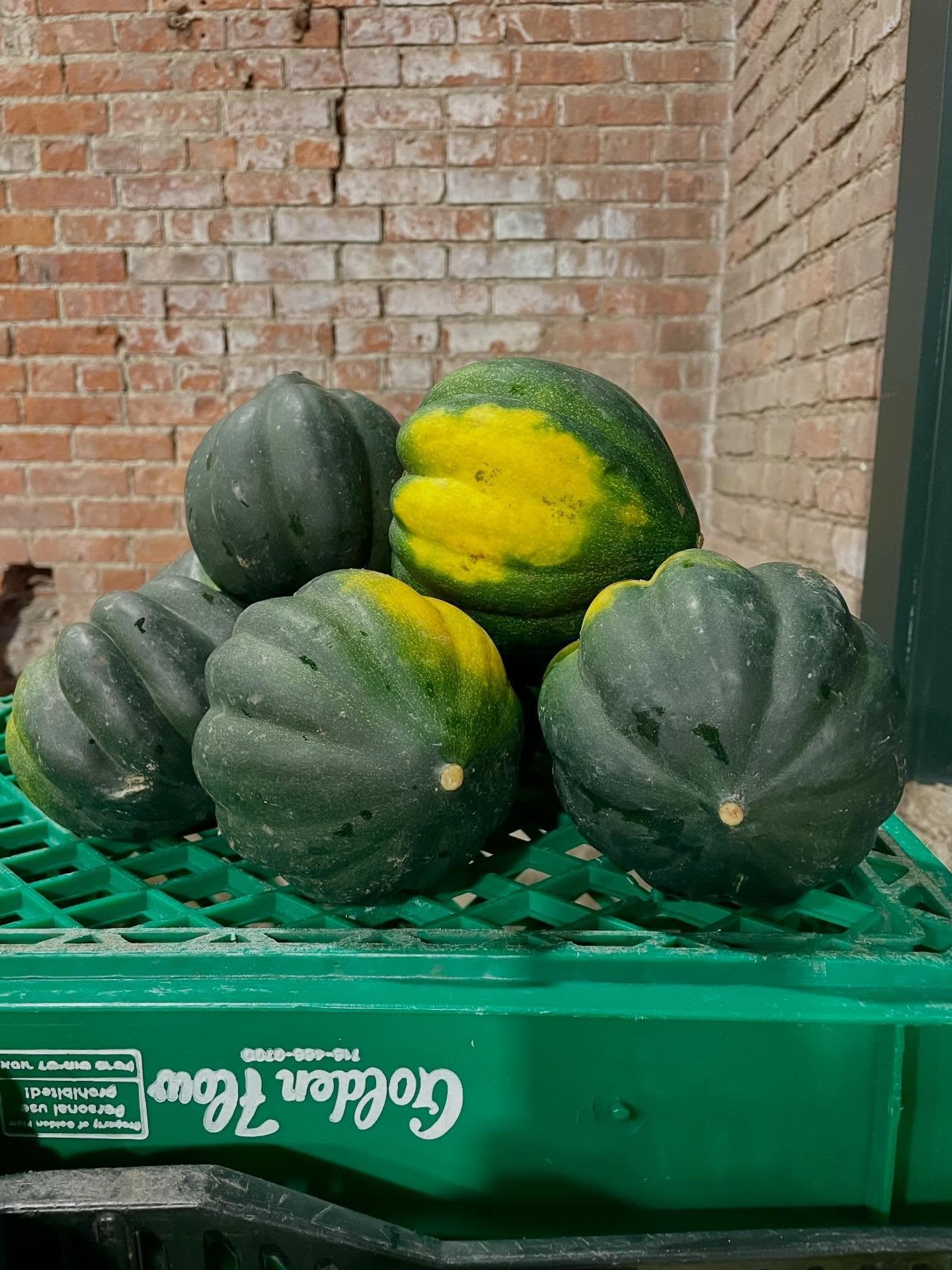 The last of the winter veggies are still holding strong. 💚

Storage crops like this beautiful acorn squash from Two Brothers Farm have carried us through the coldest months&mdash;tucked away, keeping us nourished long after harvest.

As we start to 